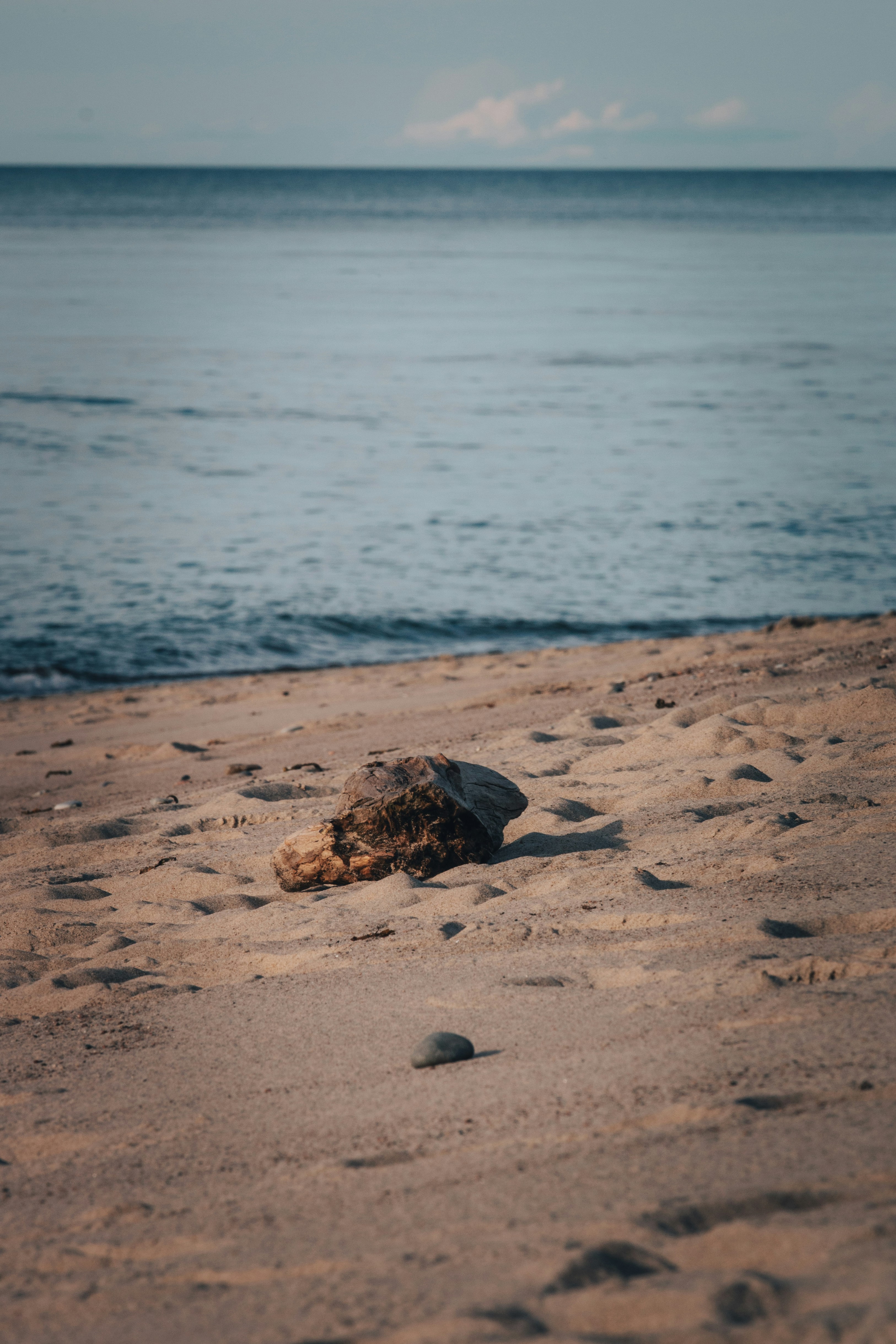 Photo by marri_zlaty