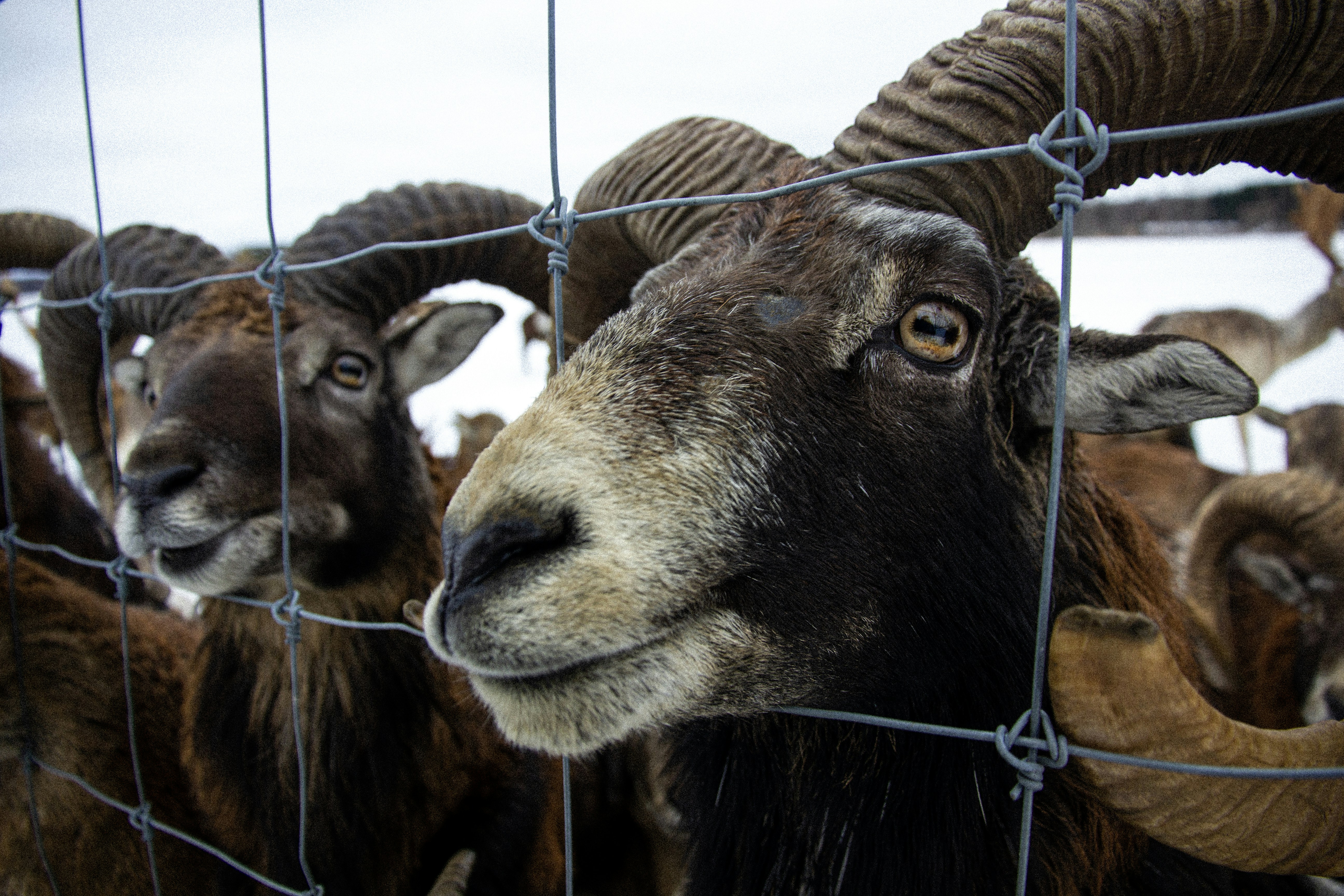 Photo by reinisbruzitis