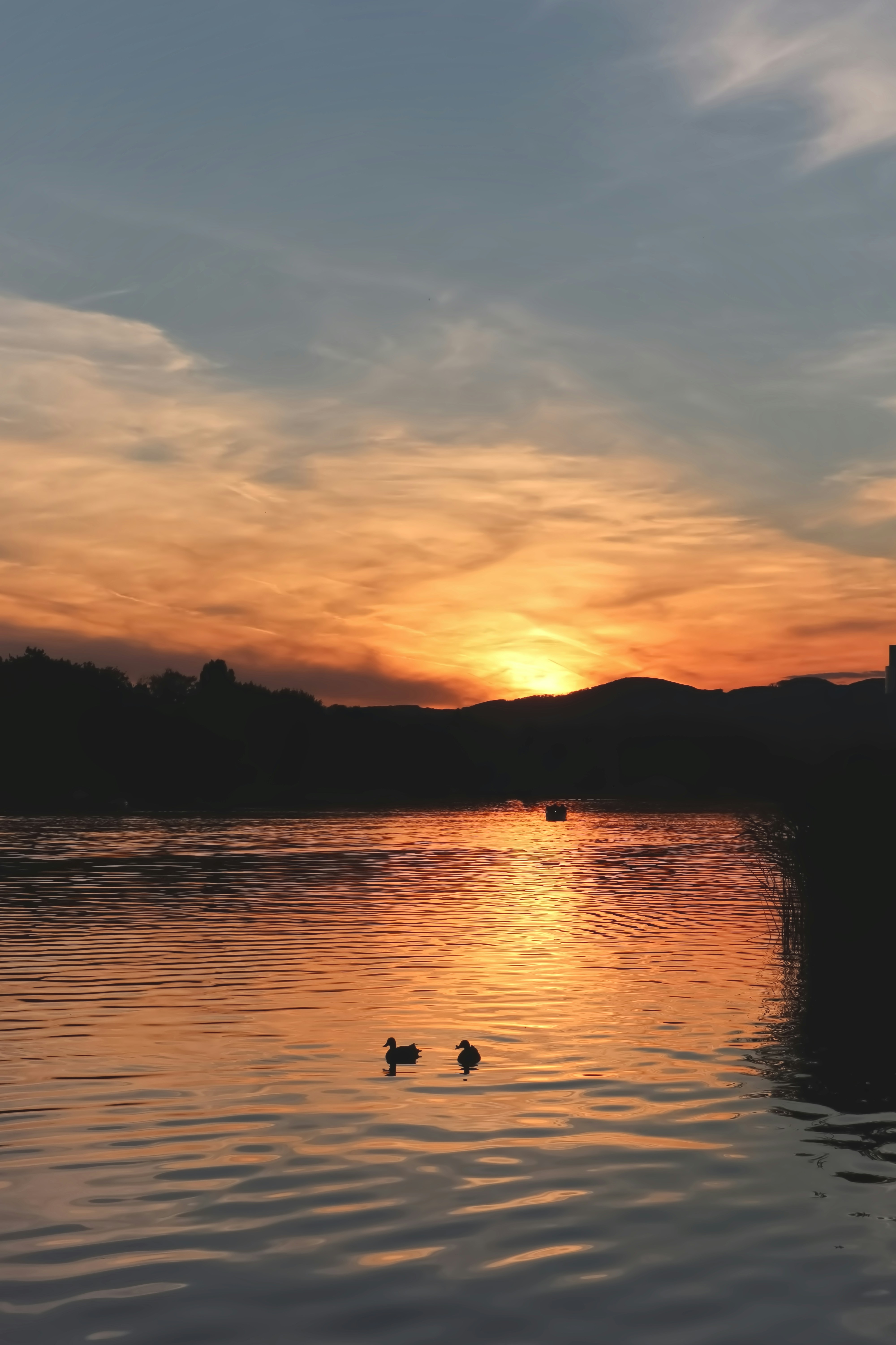 Ducks swim on a lake during a vibrant sunset.