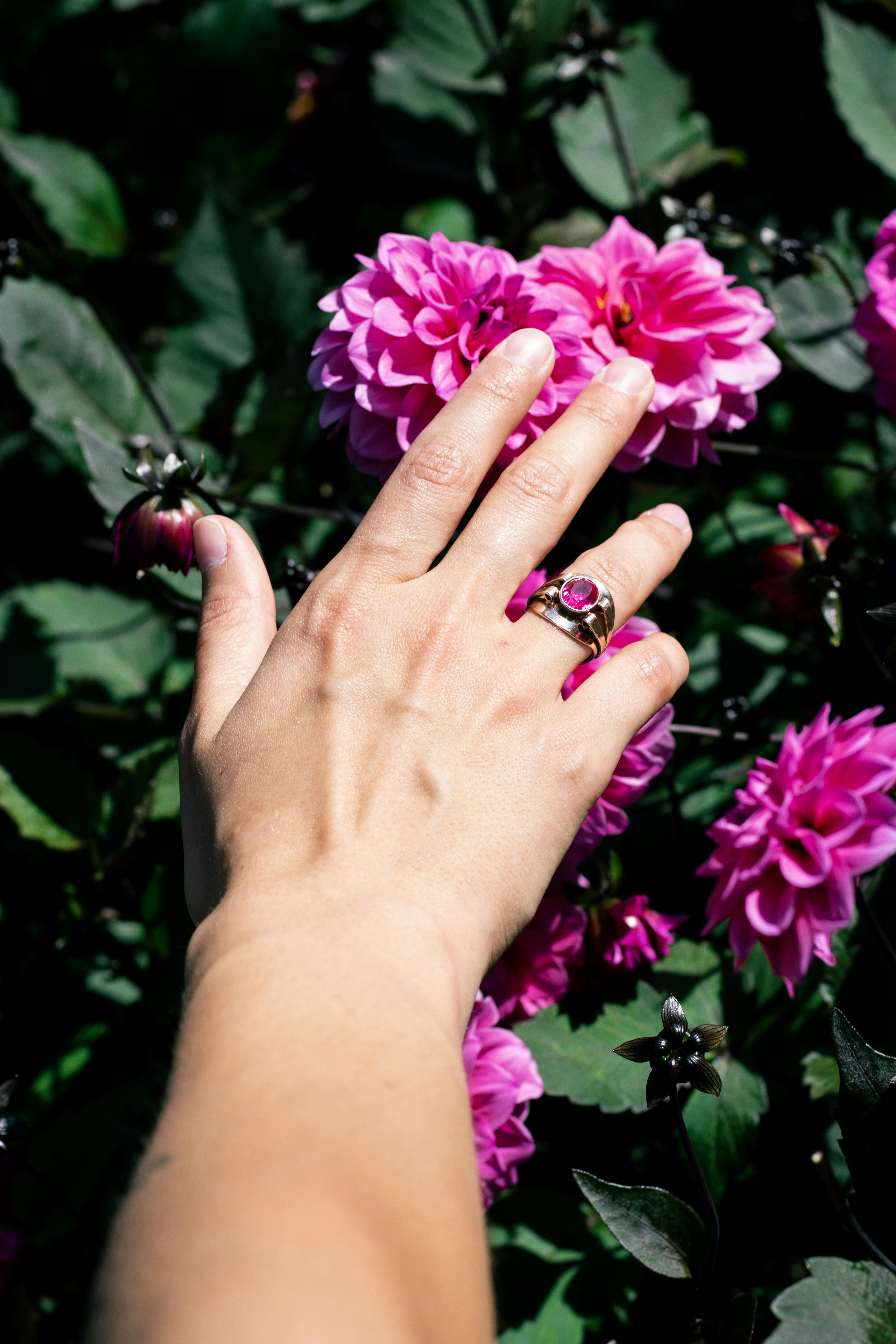 Photo by reinisbruzitis