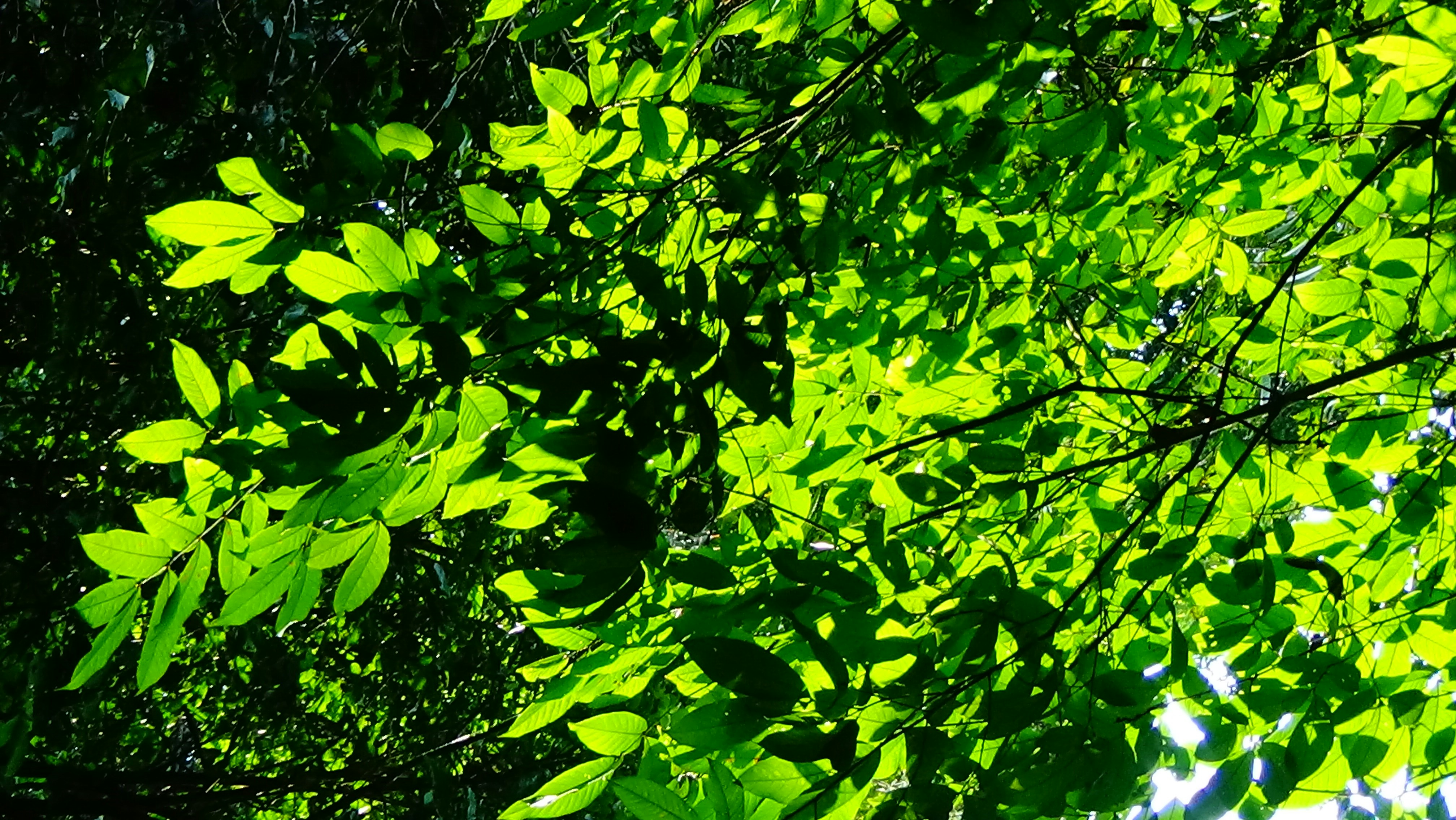 Photo by whaleinocean