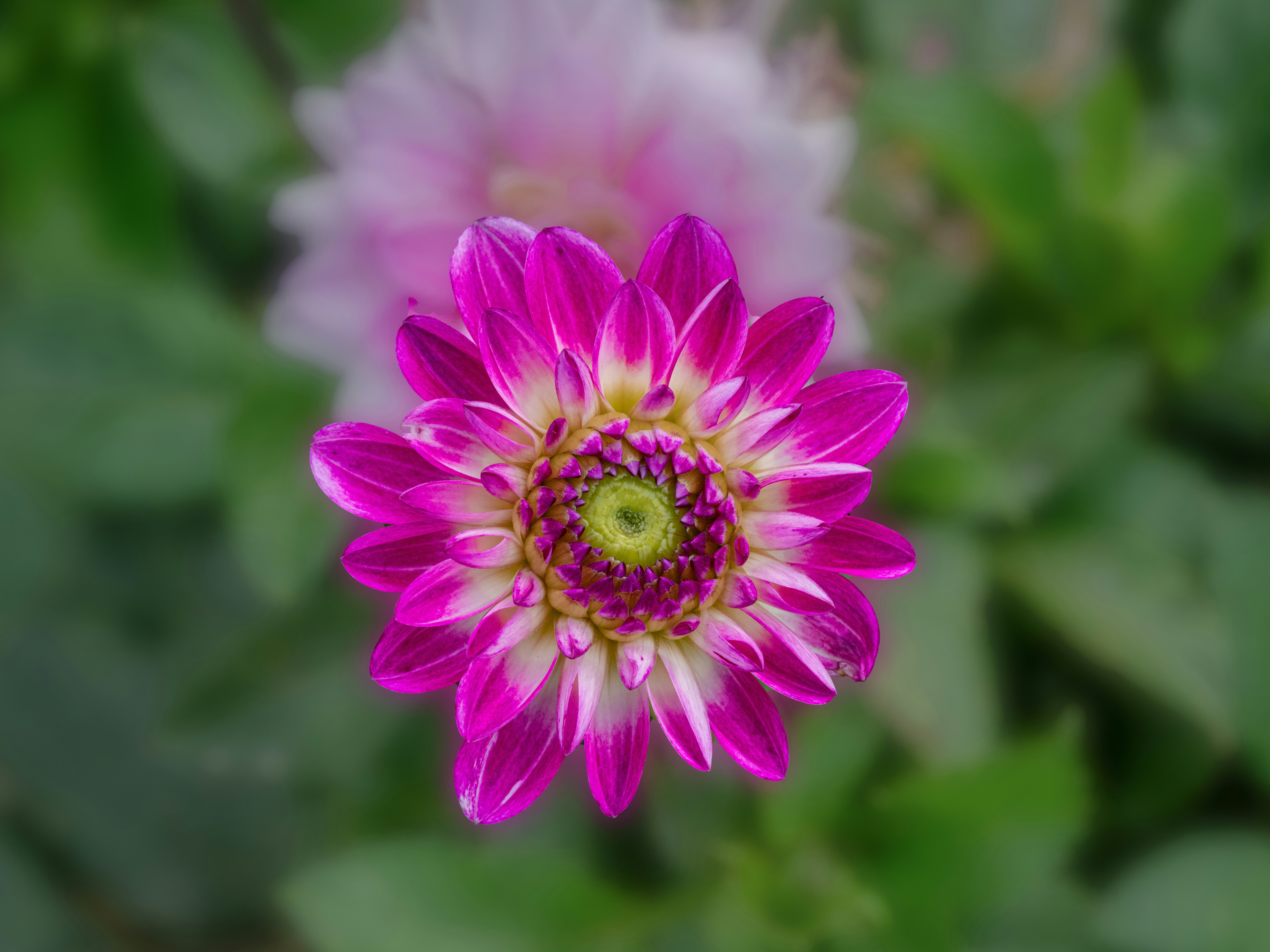 Photo by siegfriedpoepperl