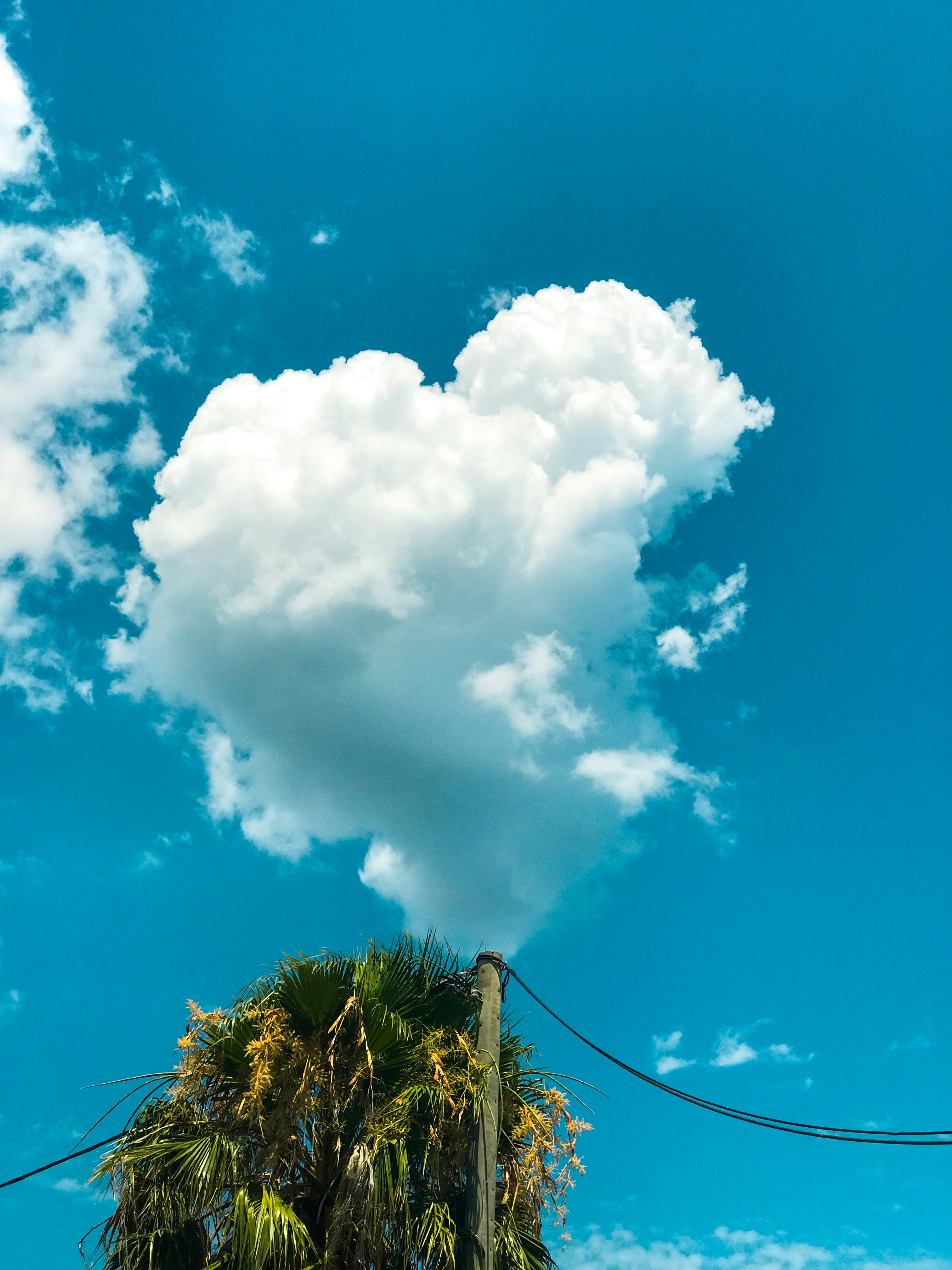 Heart-shaped cloud above a palm tree and pole