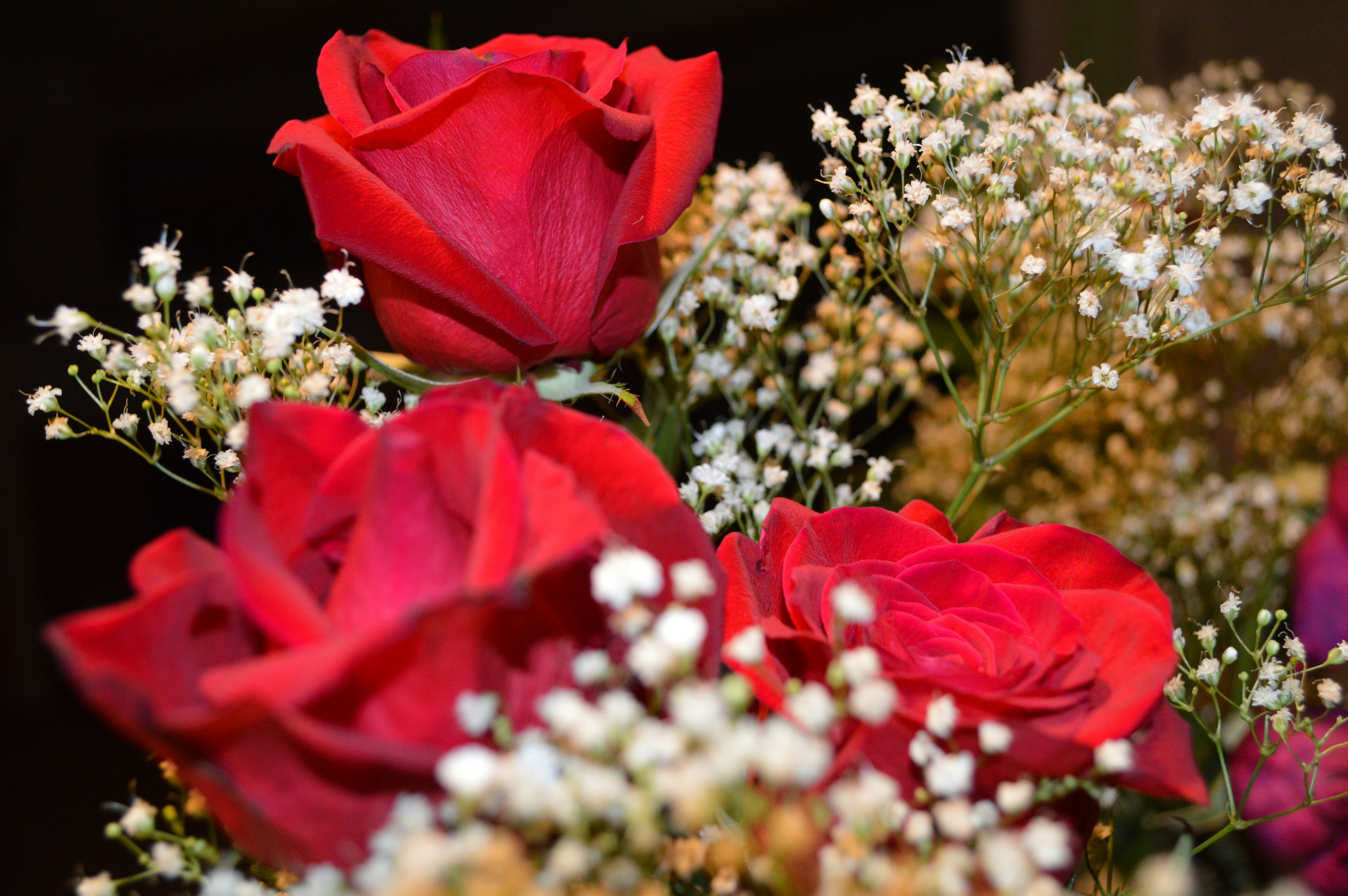 Formal Greetings & Wishes: Heartfelt Examples That Impress