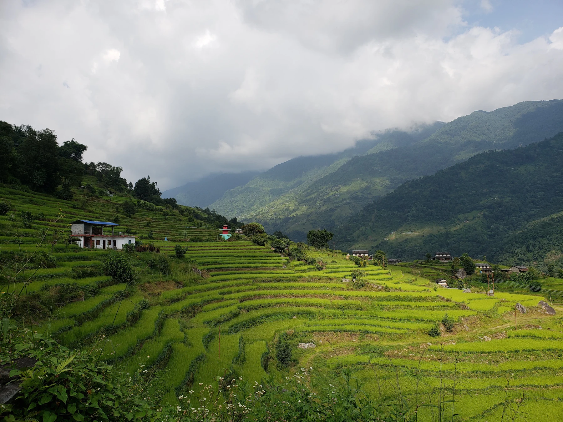 Himalayan terraced fields and distant mountain landscape