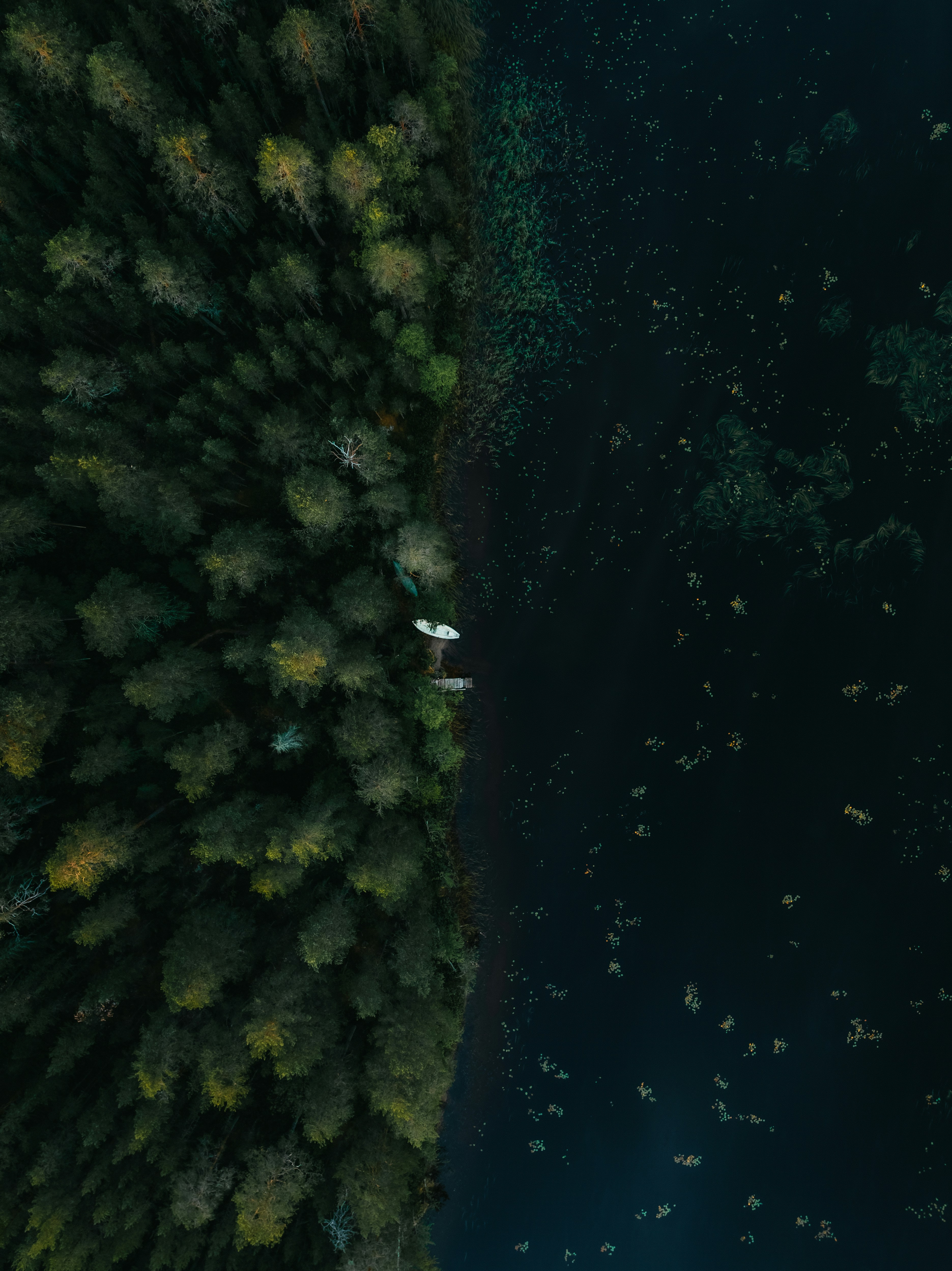 Photo by kristapsungurs