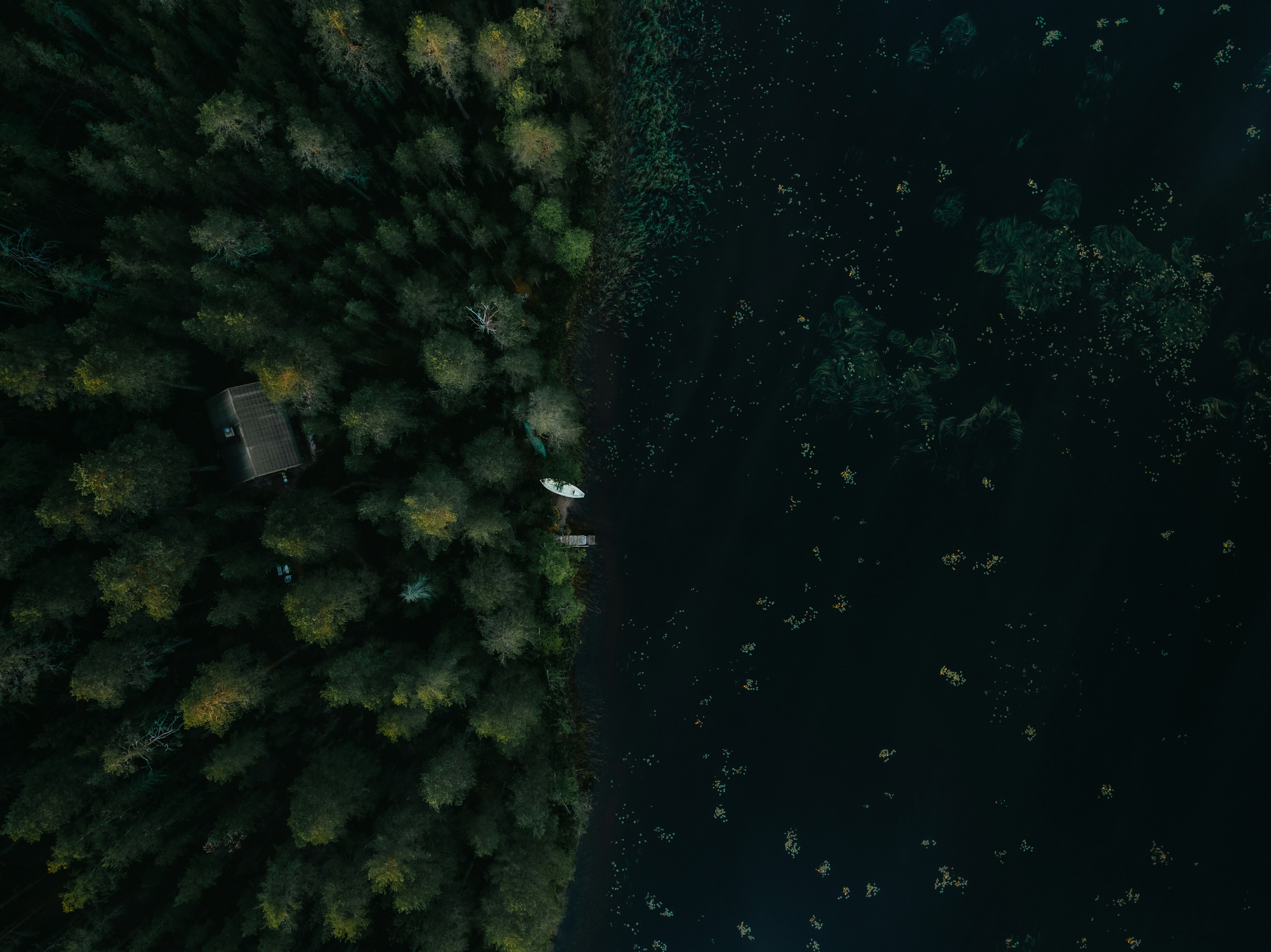 Photo by kristapsungurs