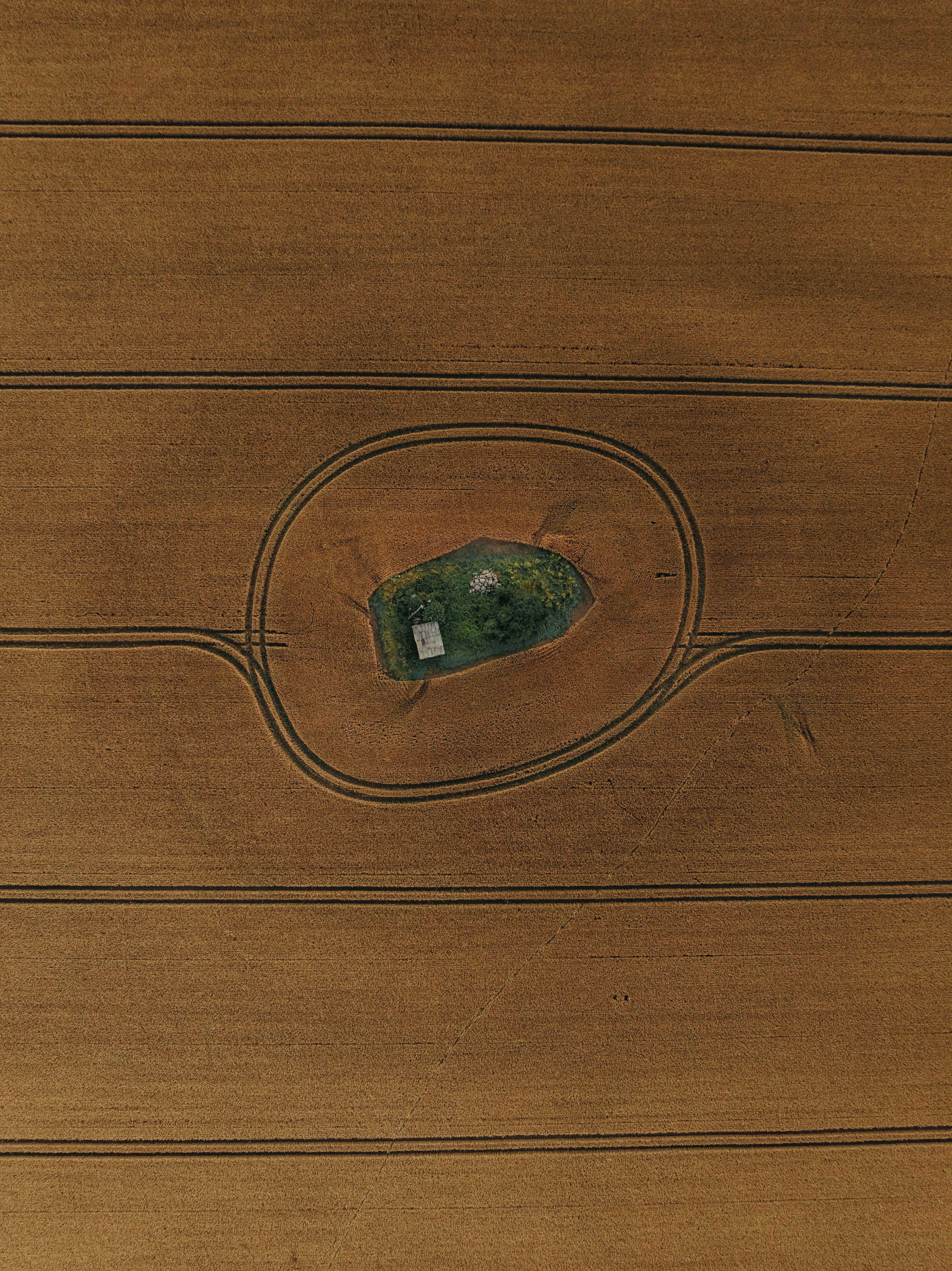 Aerial view of a small island in a field.