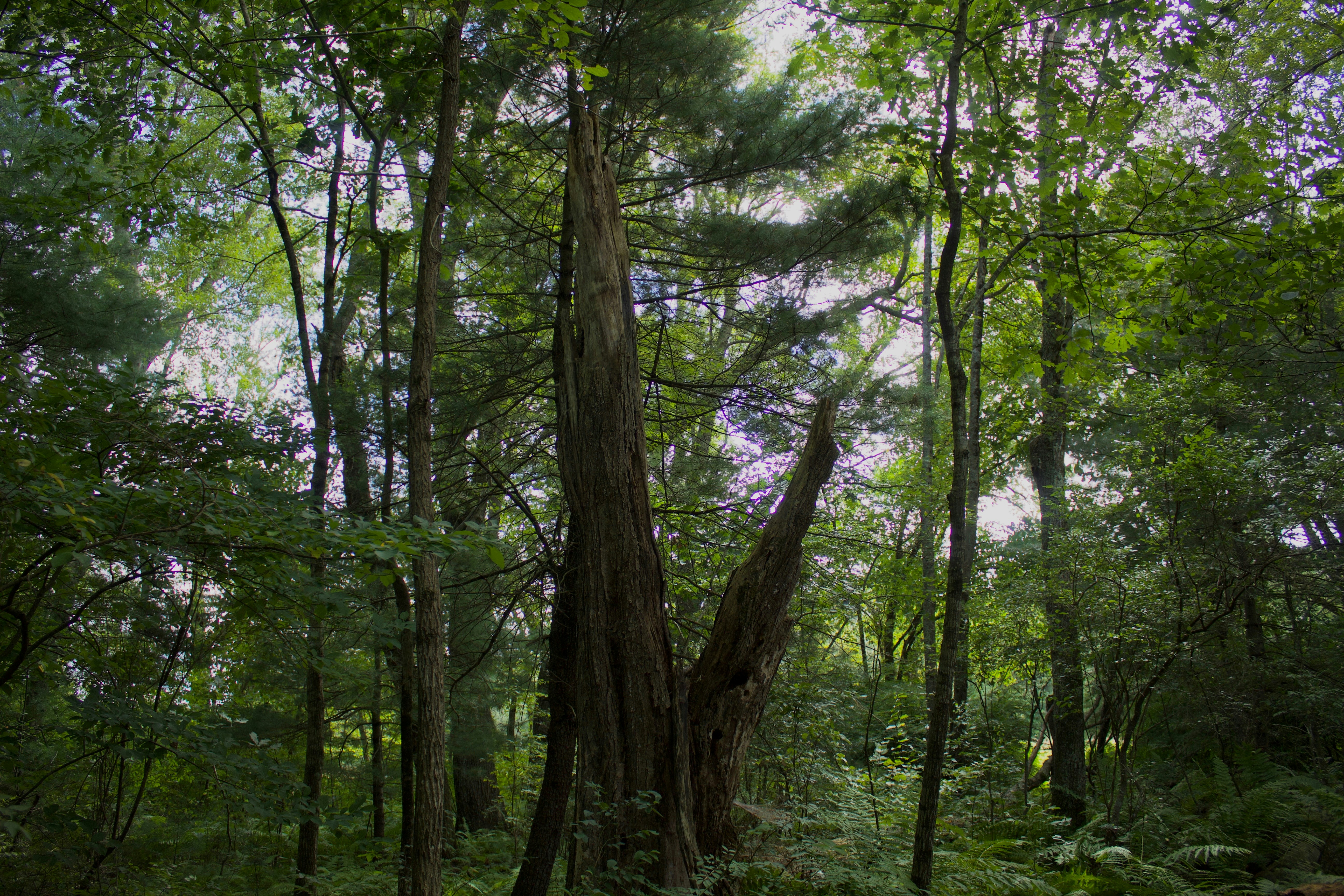 Photo by astro_lex18