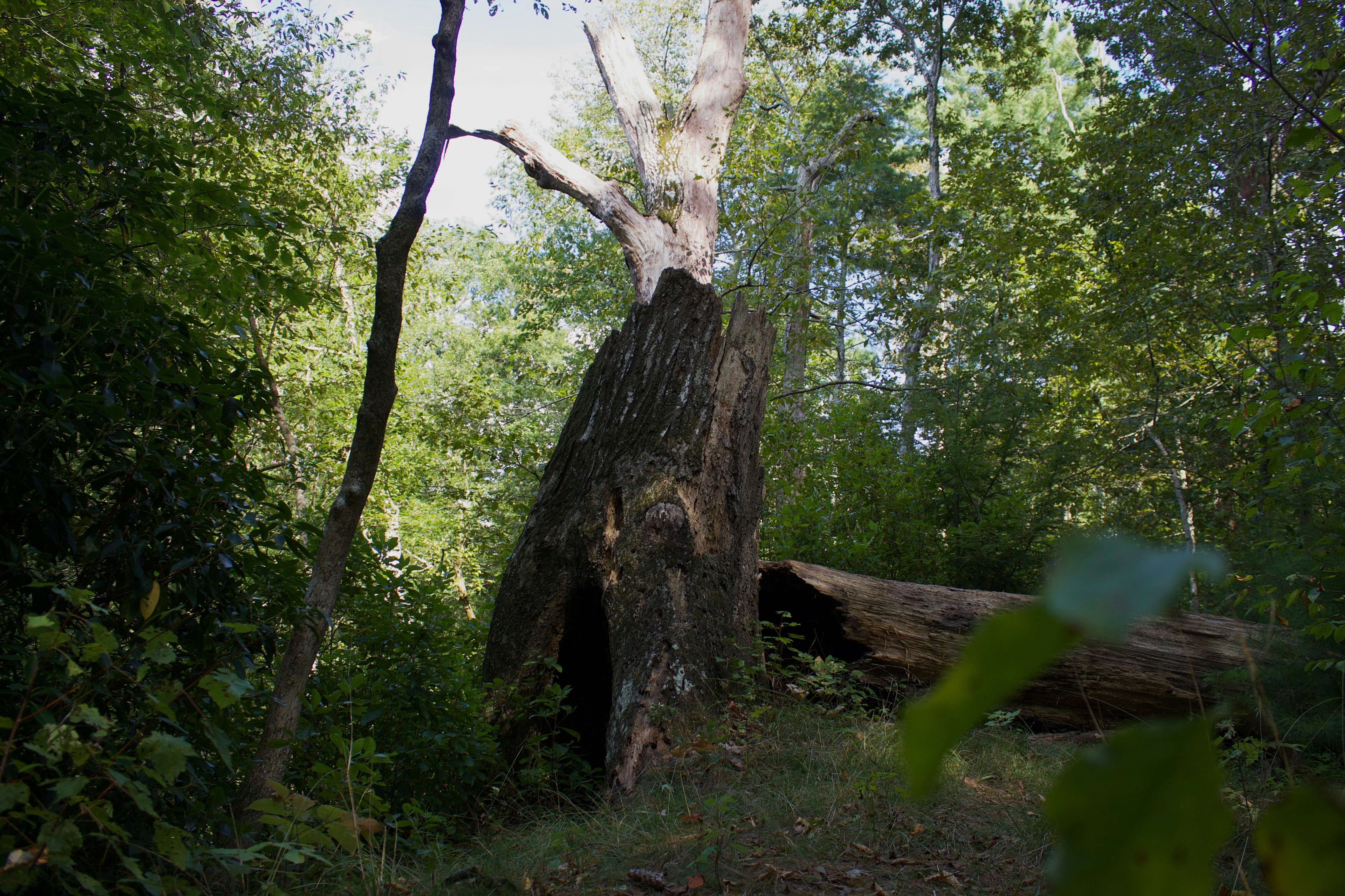 Photo by astro_lex18