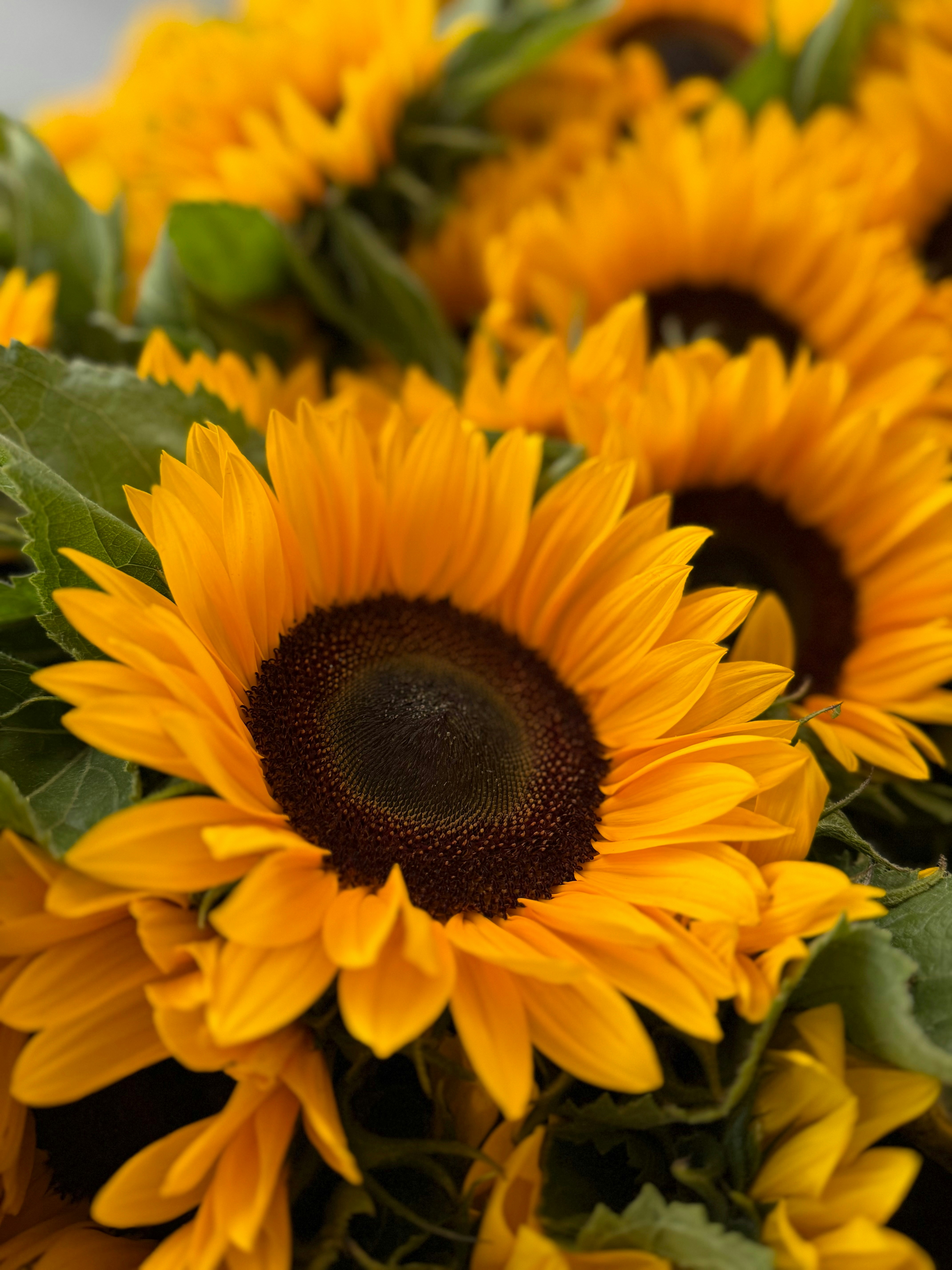 Photo by clemmmchrls