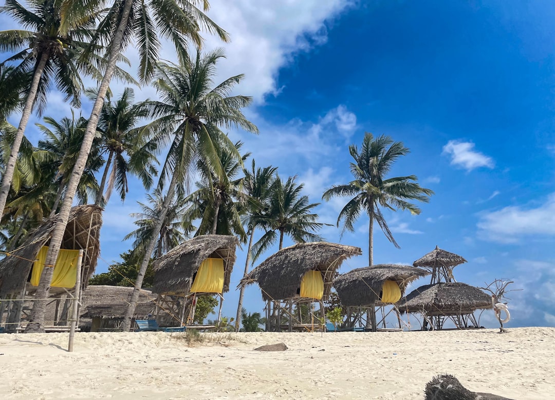 Tropical bungalows on a white sand beach with palm trees.,