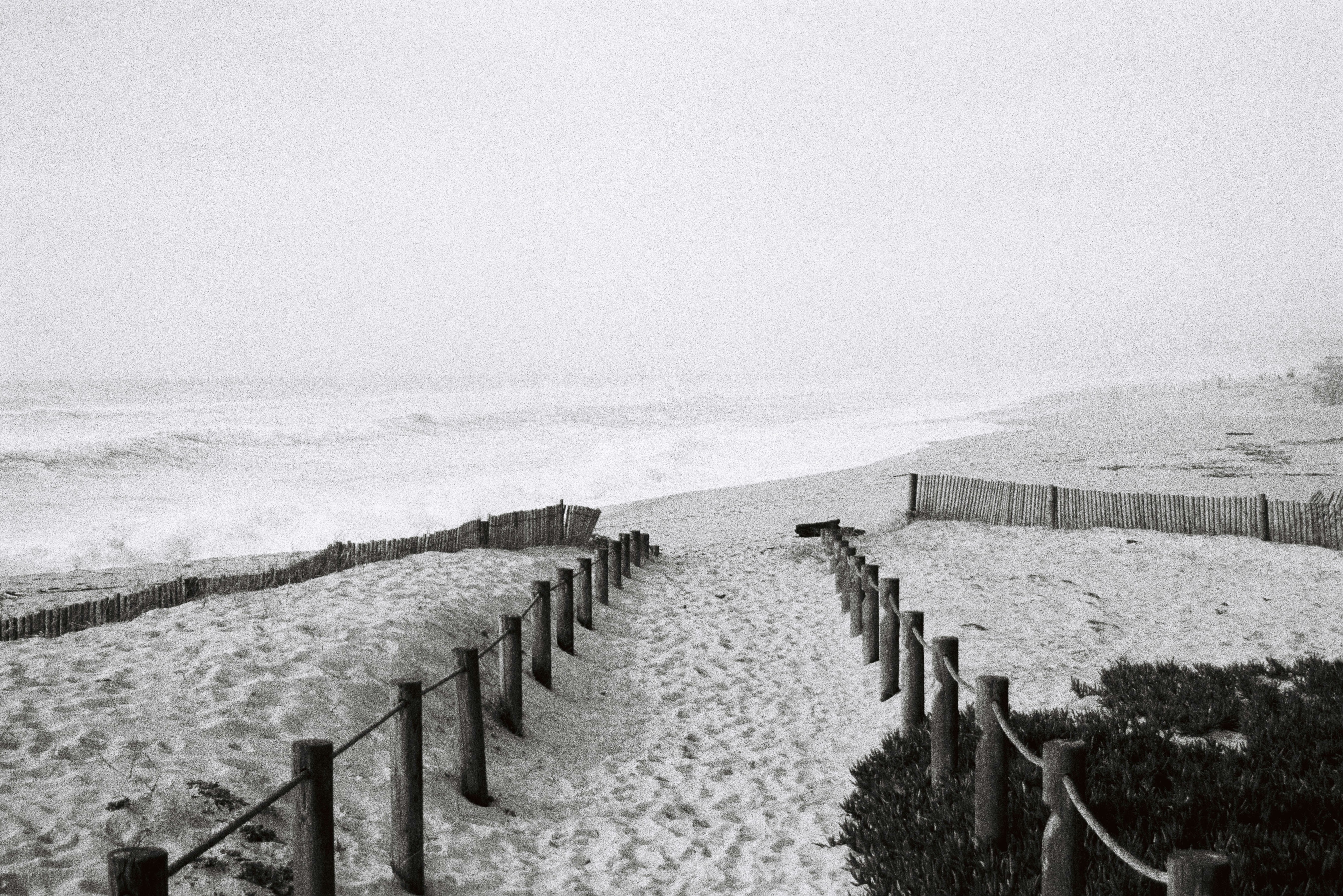 Photo by mrp_oliveira