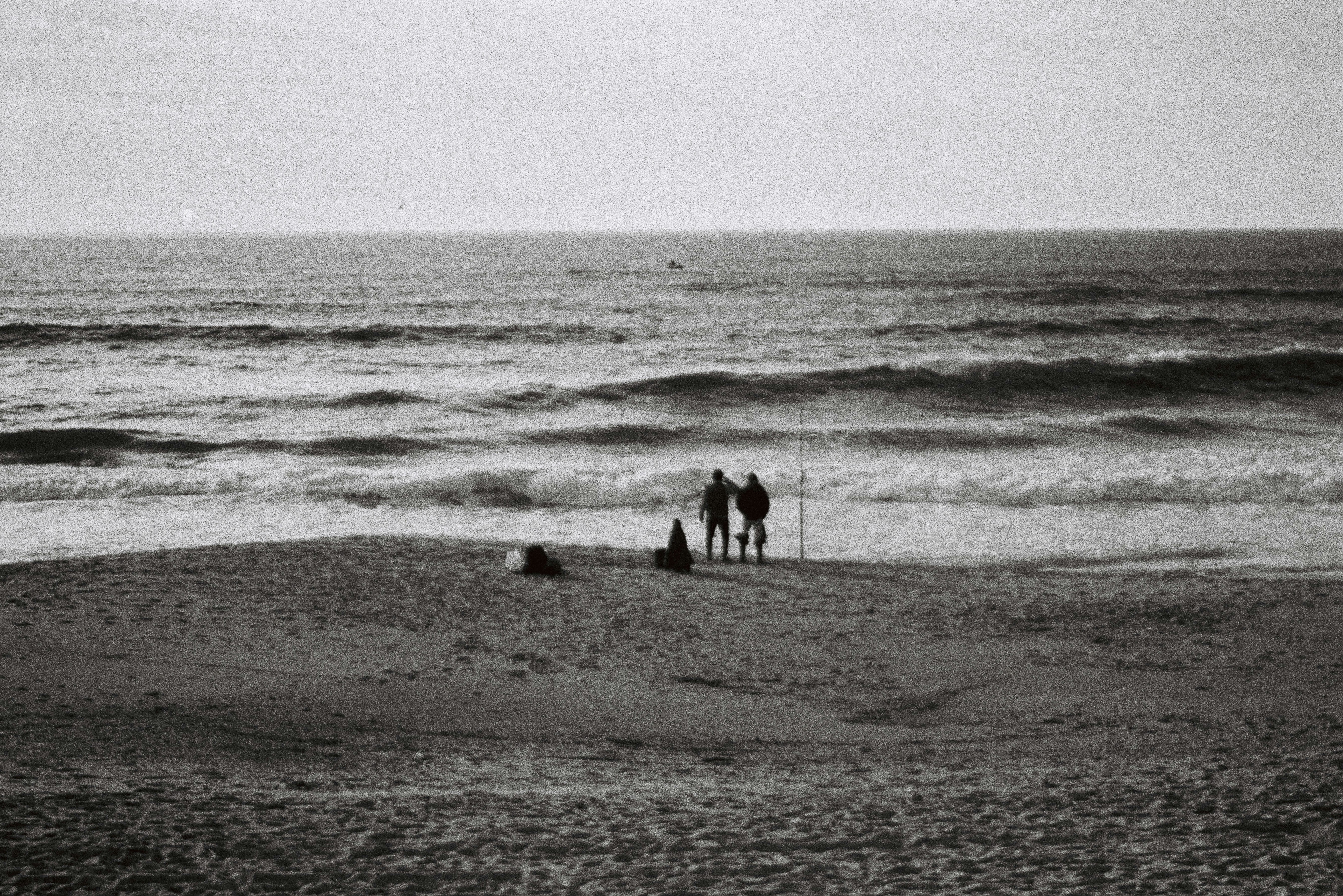 Photo by mrp_oliveira