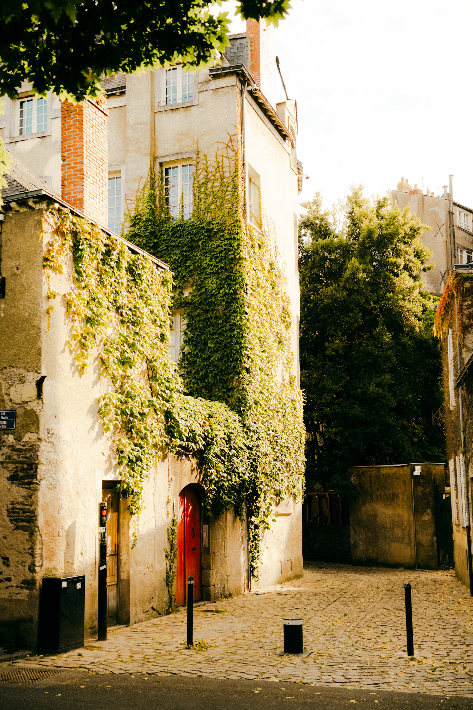 Façade en pierre couverte de lierre dans une rue de Nantes