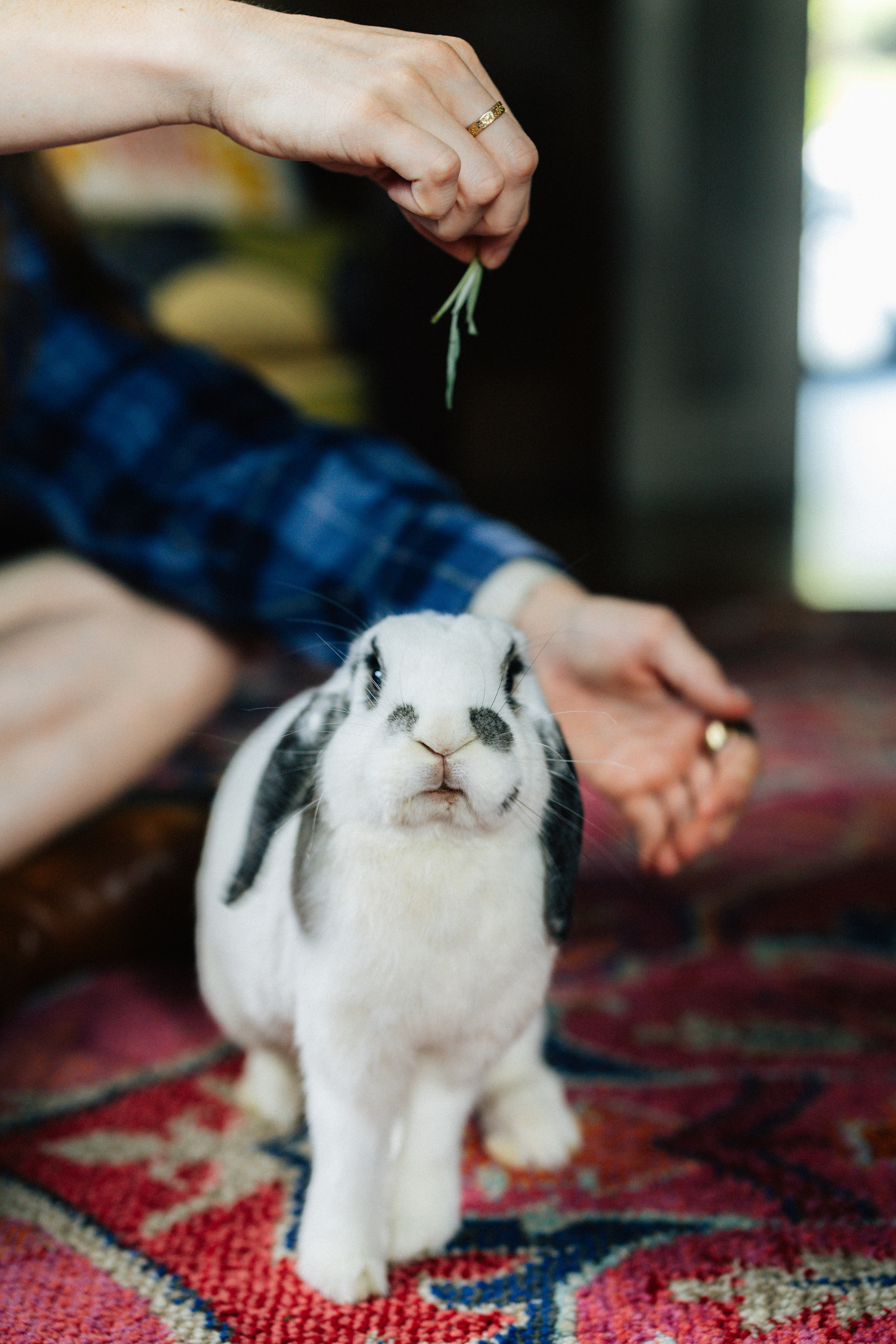 20 Popular System Design Interview Questions