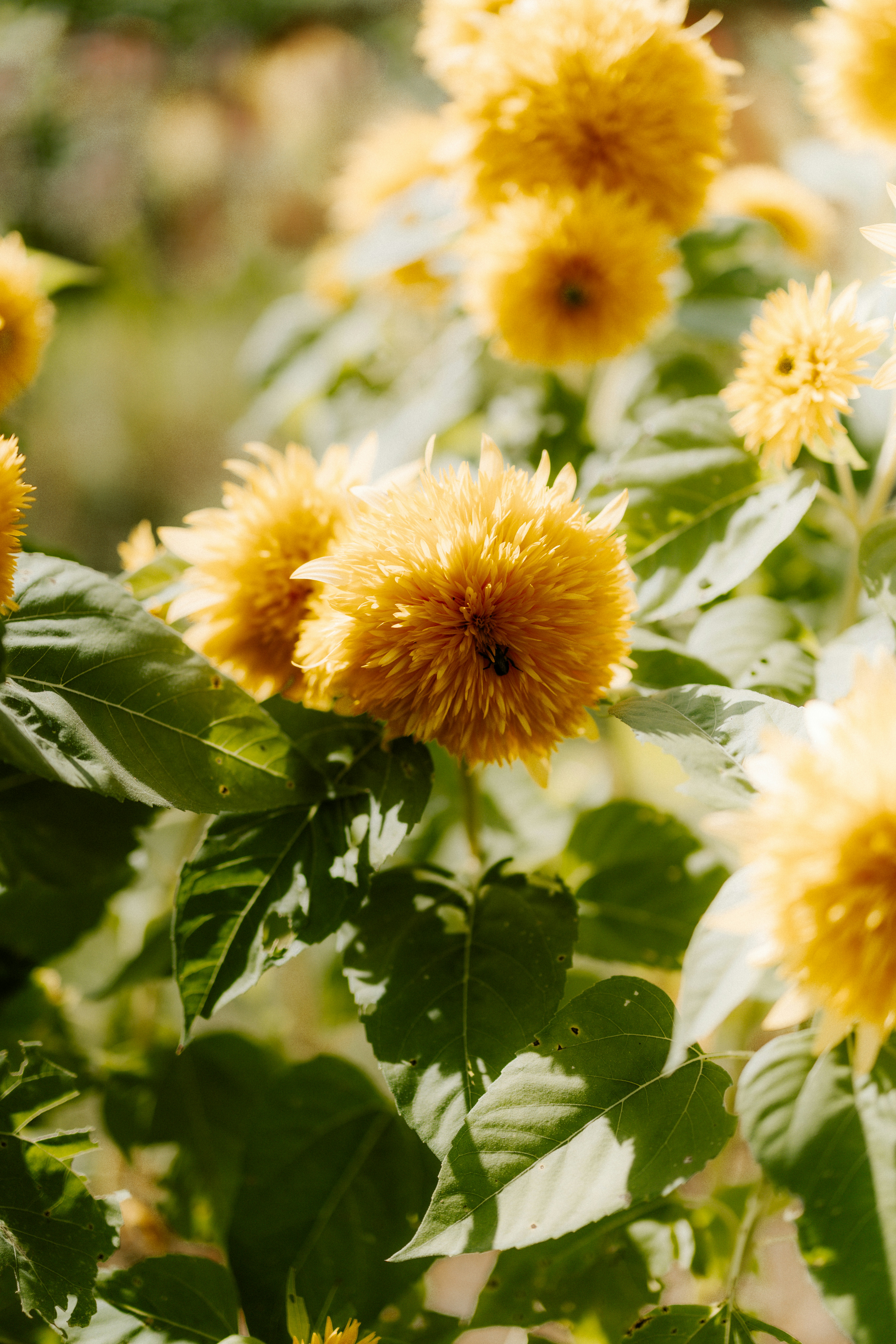 Photo by brookebalentine