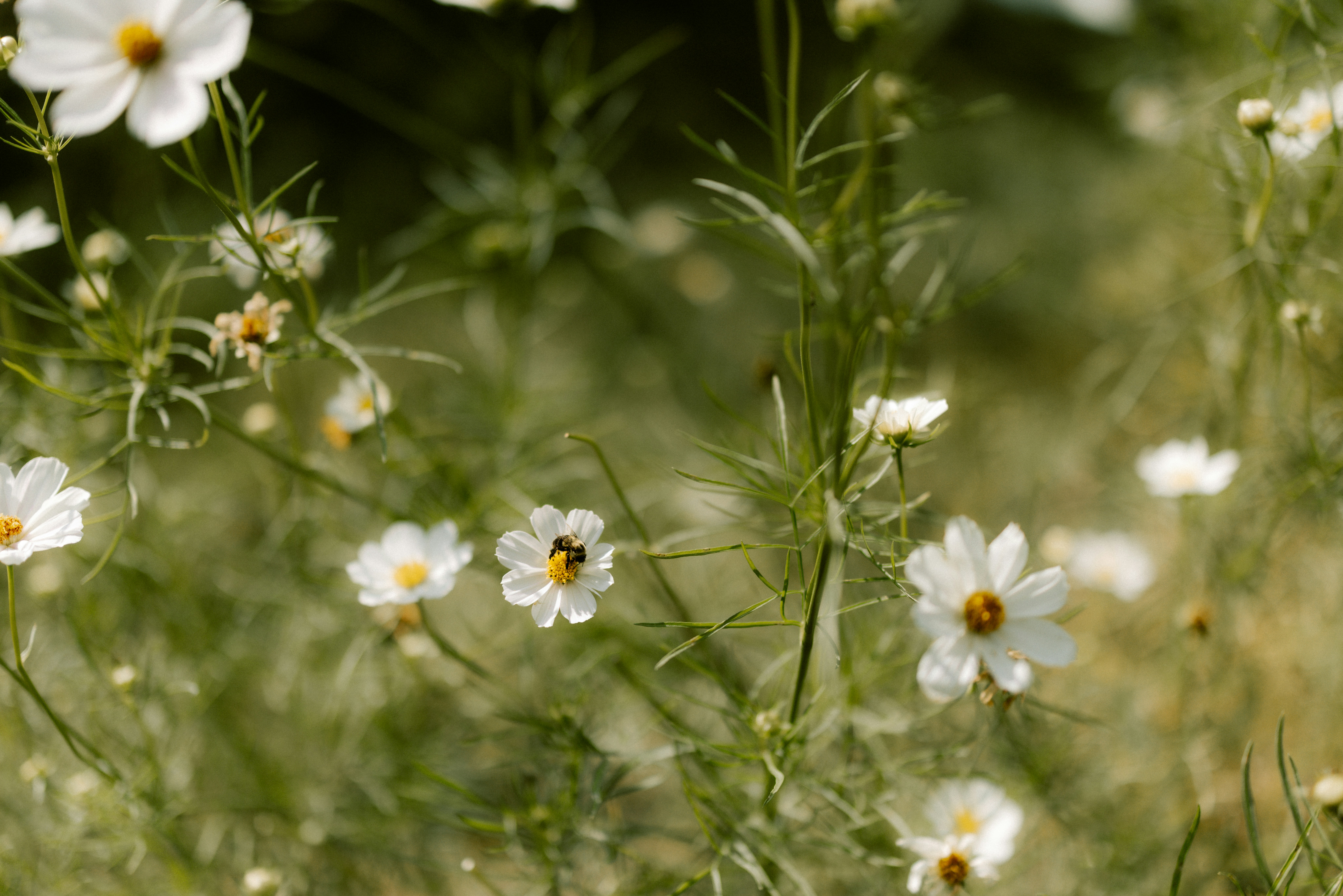 Photo by brookebalentine