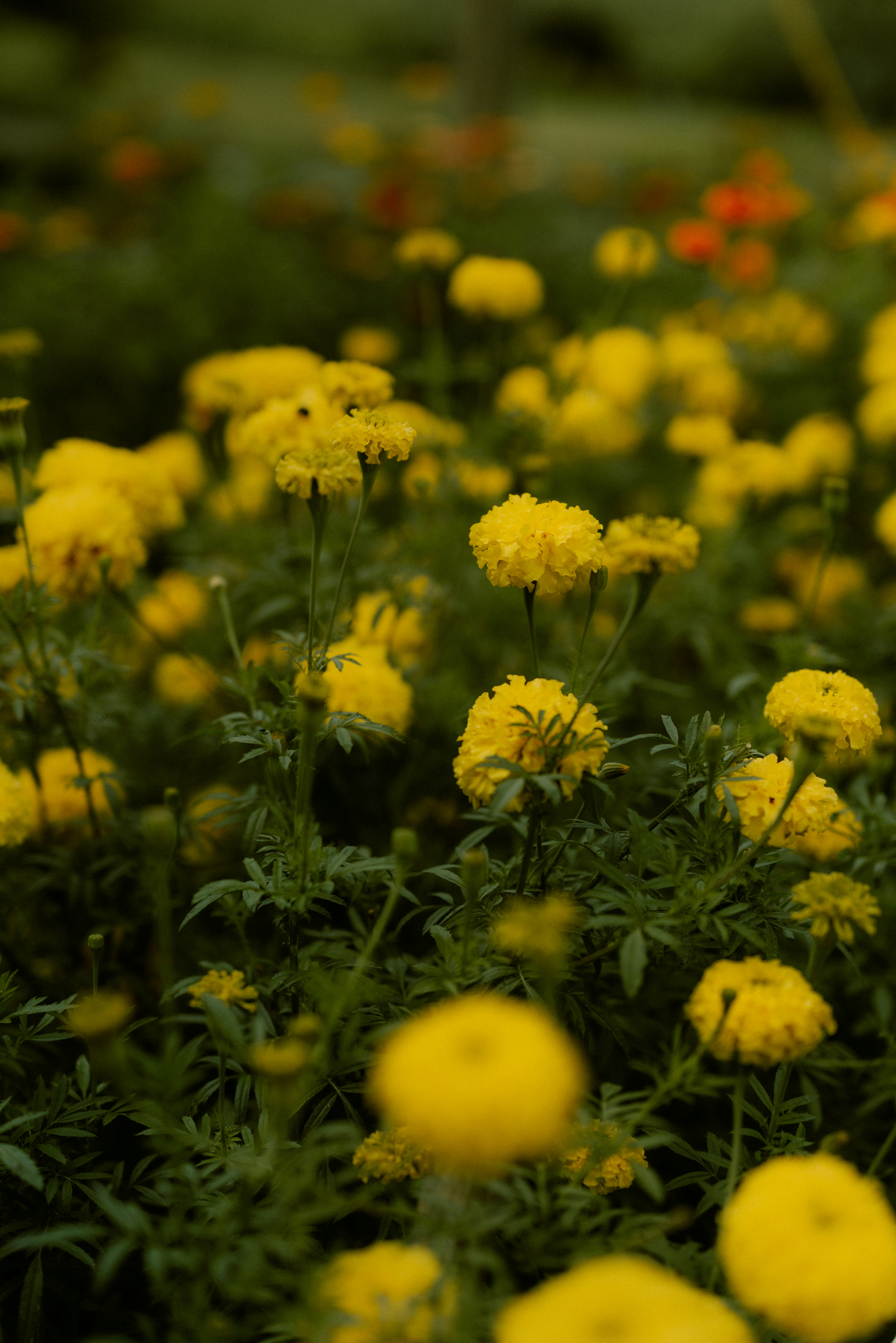 Photo by brookebalentine