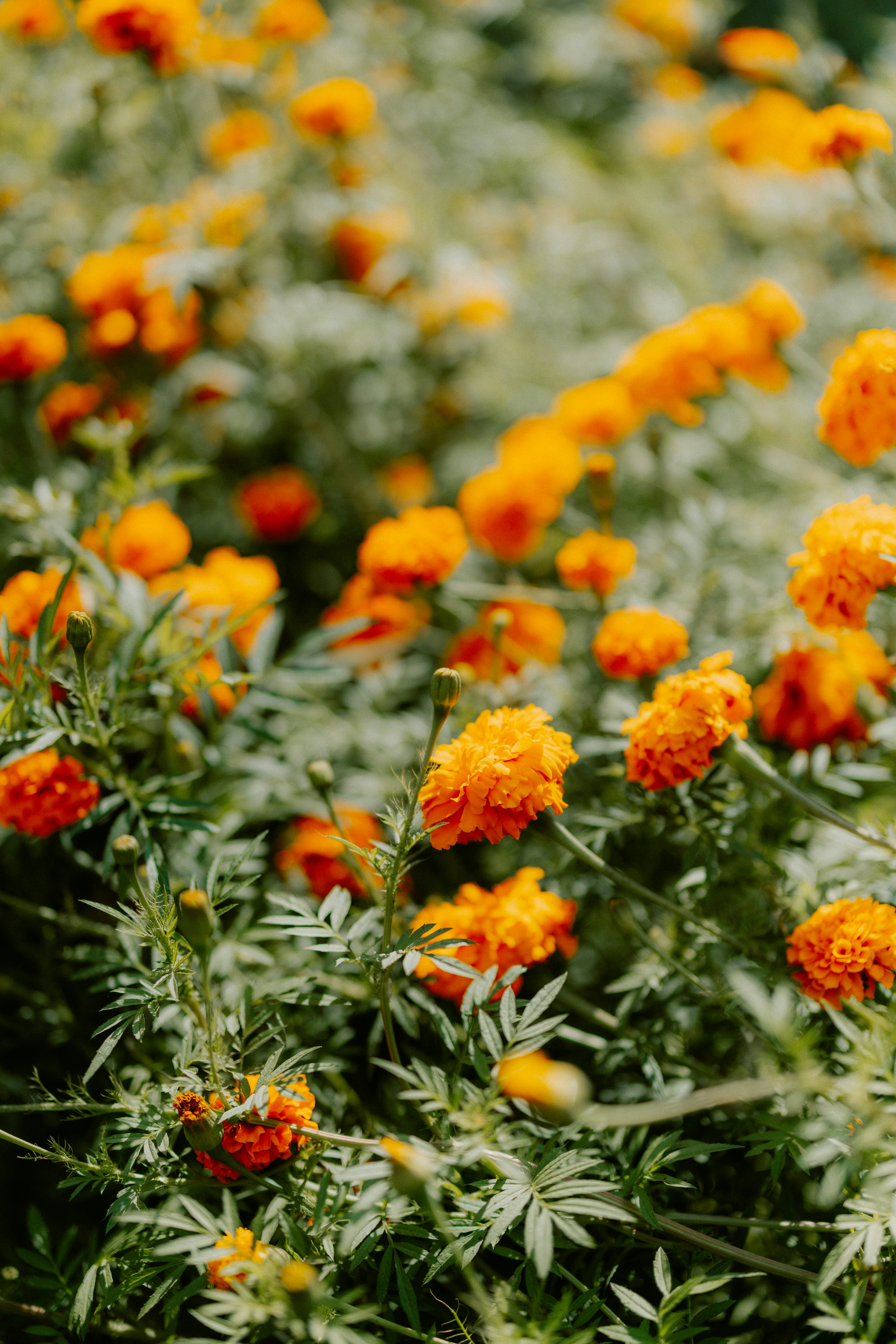 Photo by brookebalentine