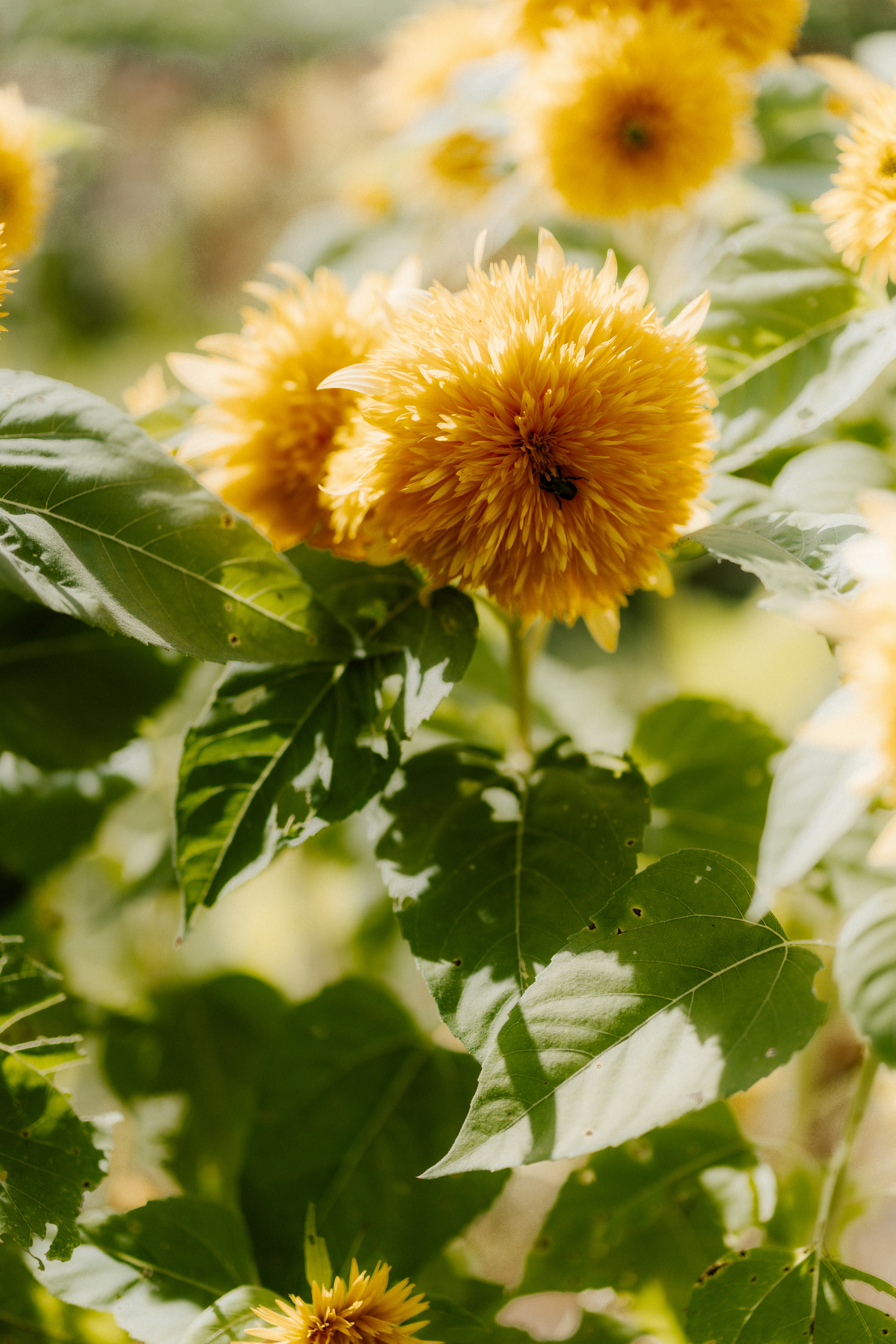 Photo by brookebalentine