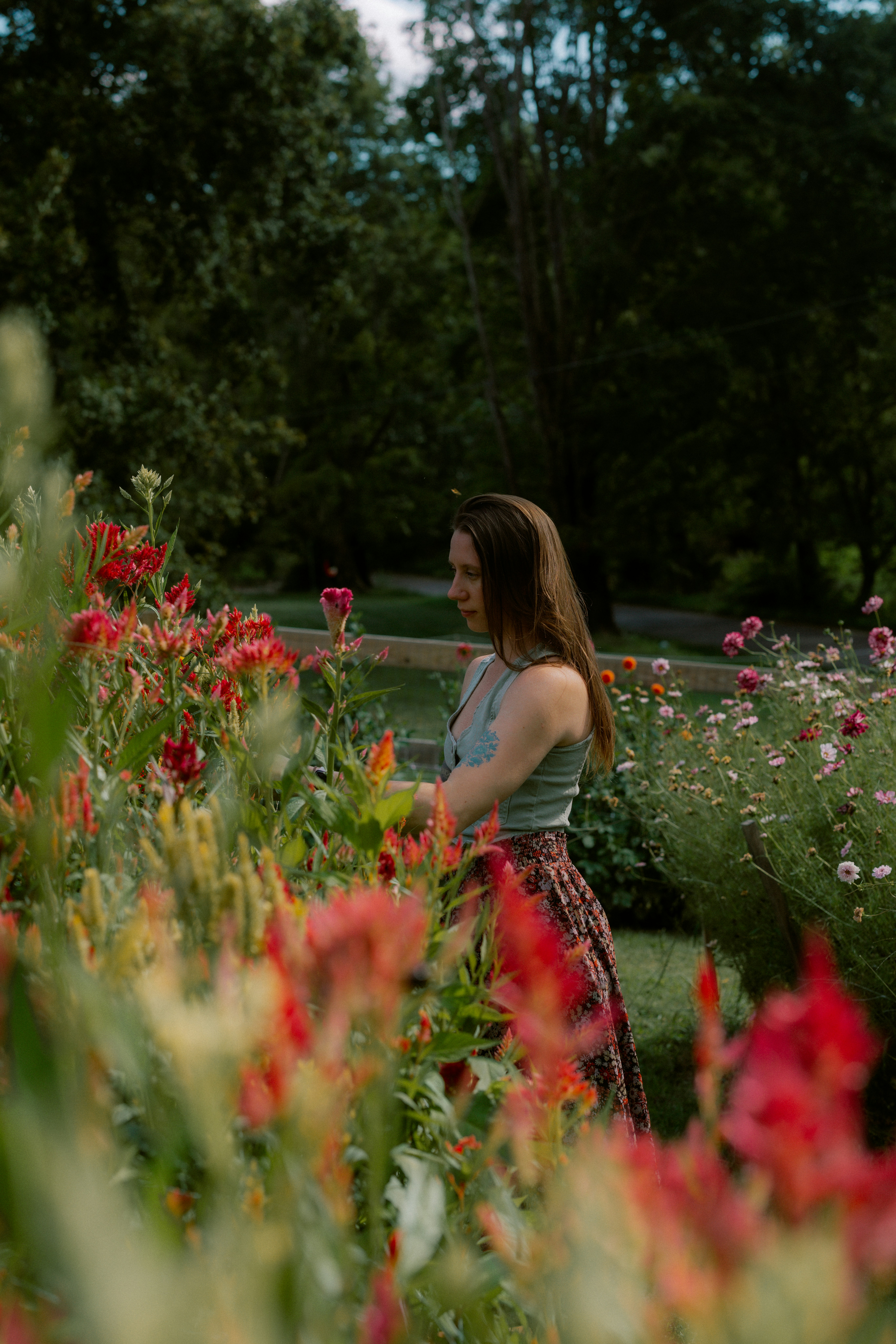 Photo by brookebalentine