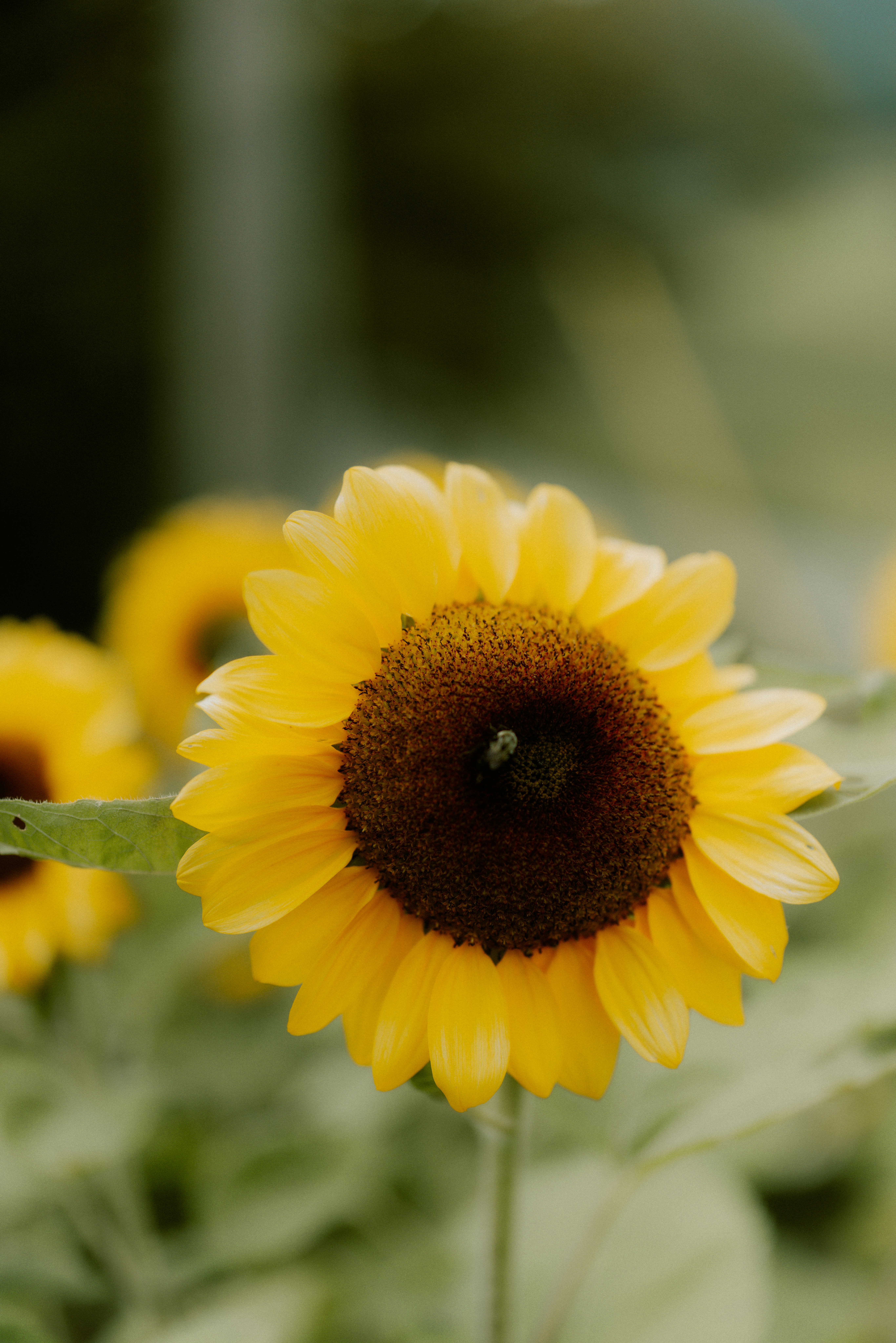 Photo by brookebalentine