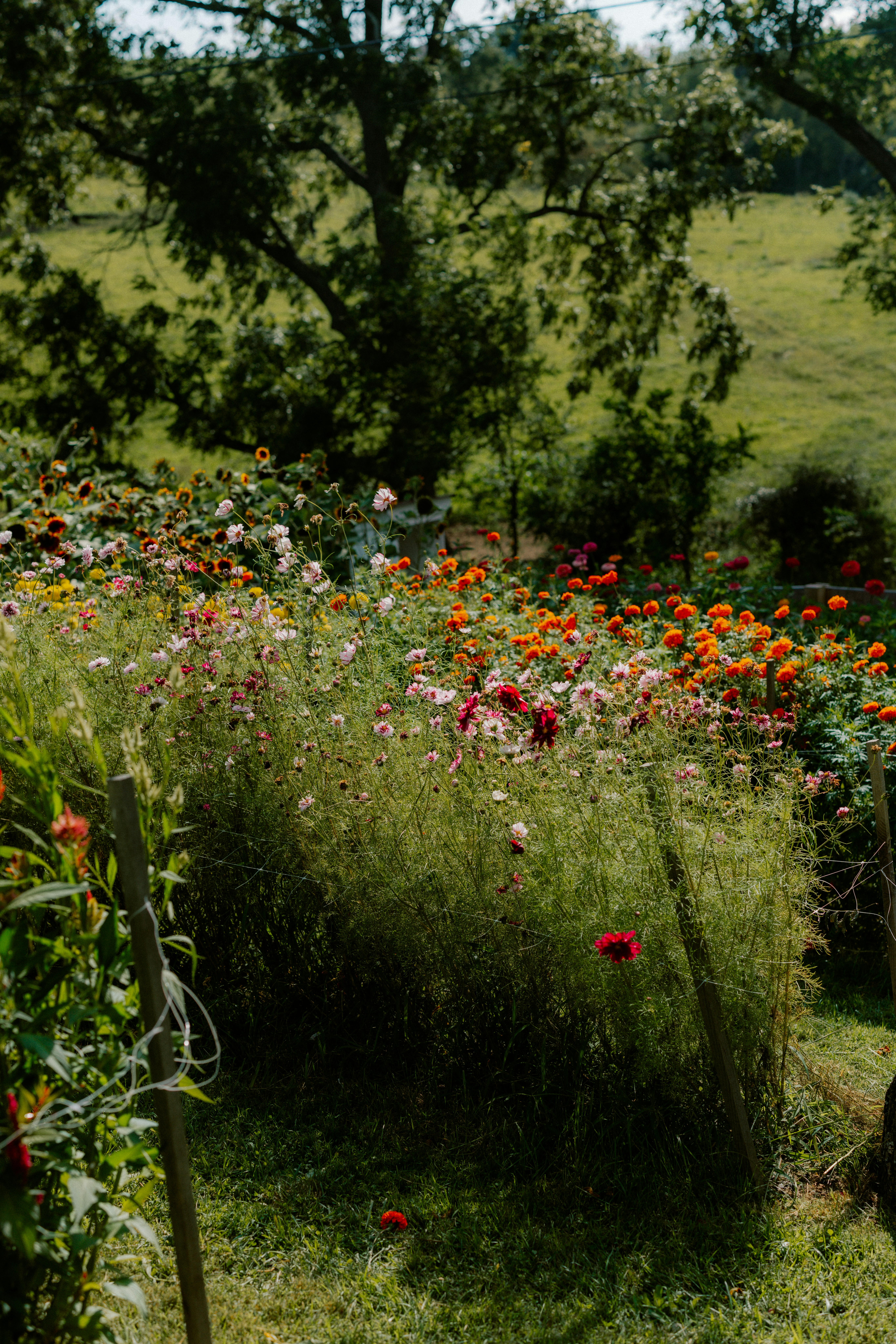 Photo by brookebalentine