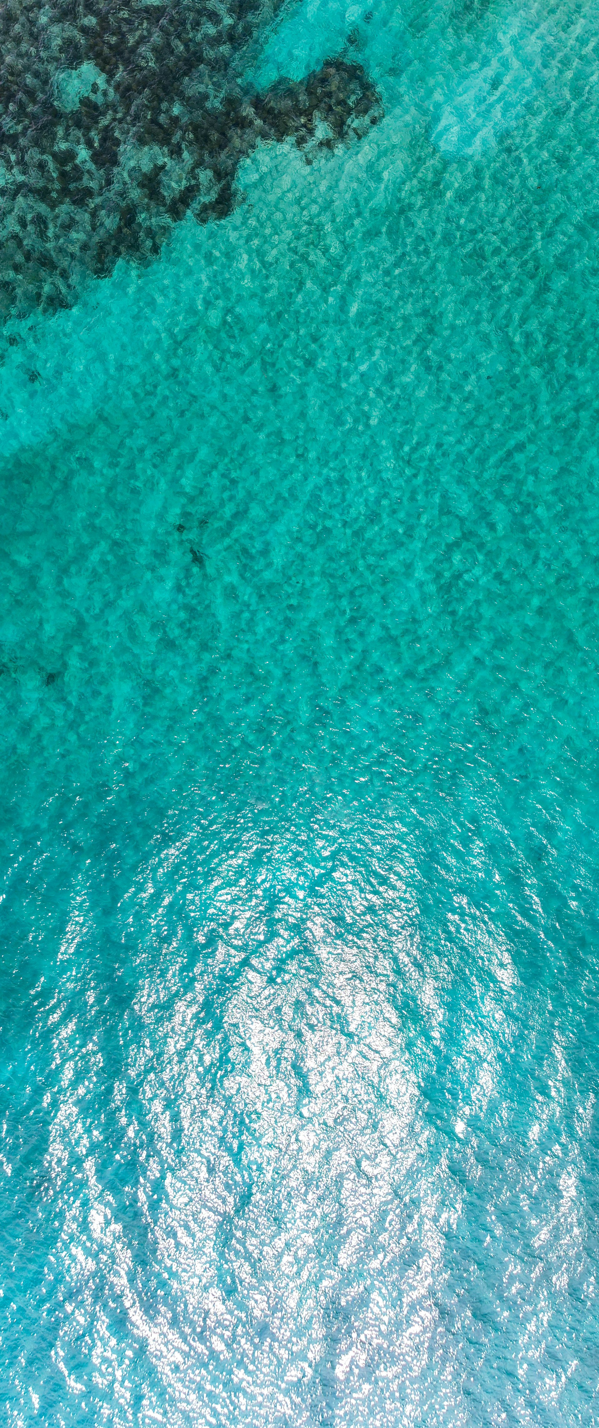 Aerial view of clear turquoise ocean water and coral reef.