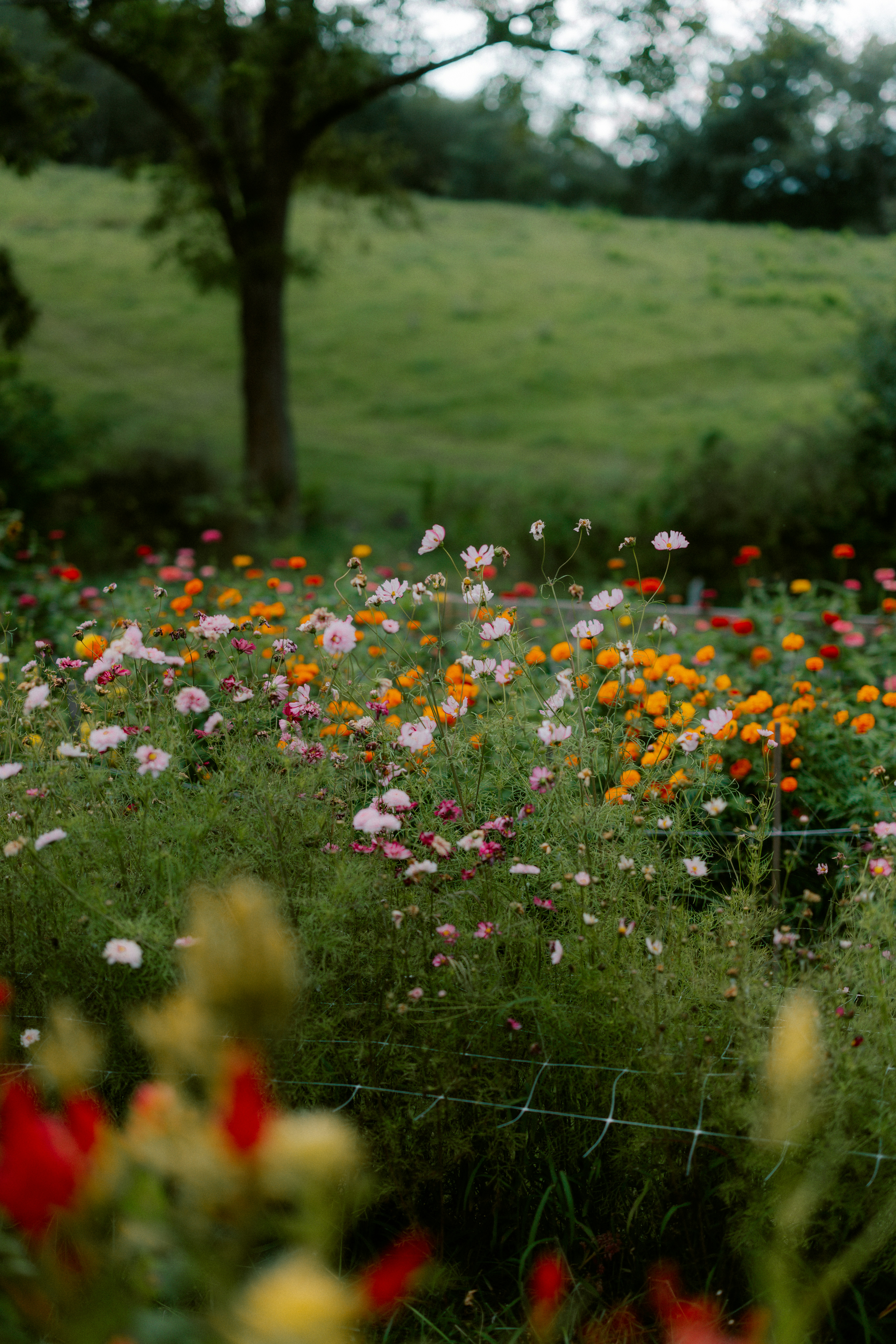 Photo by brookebalentine