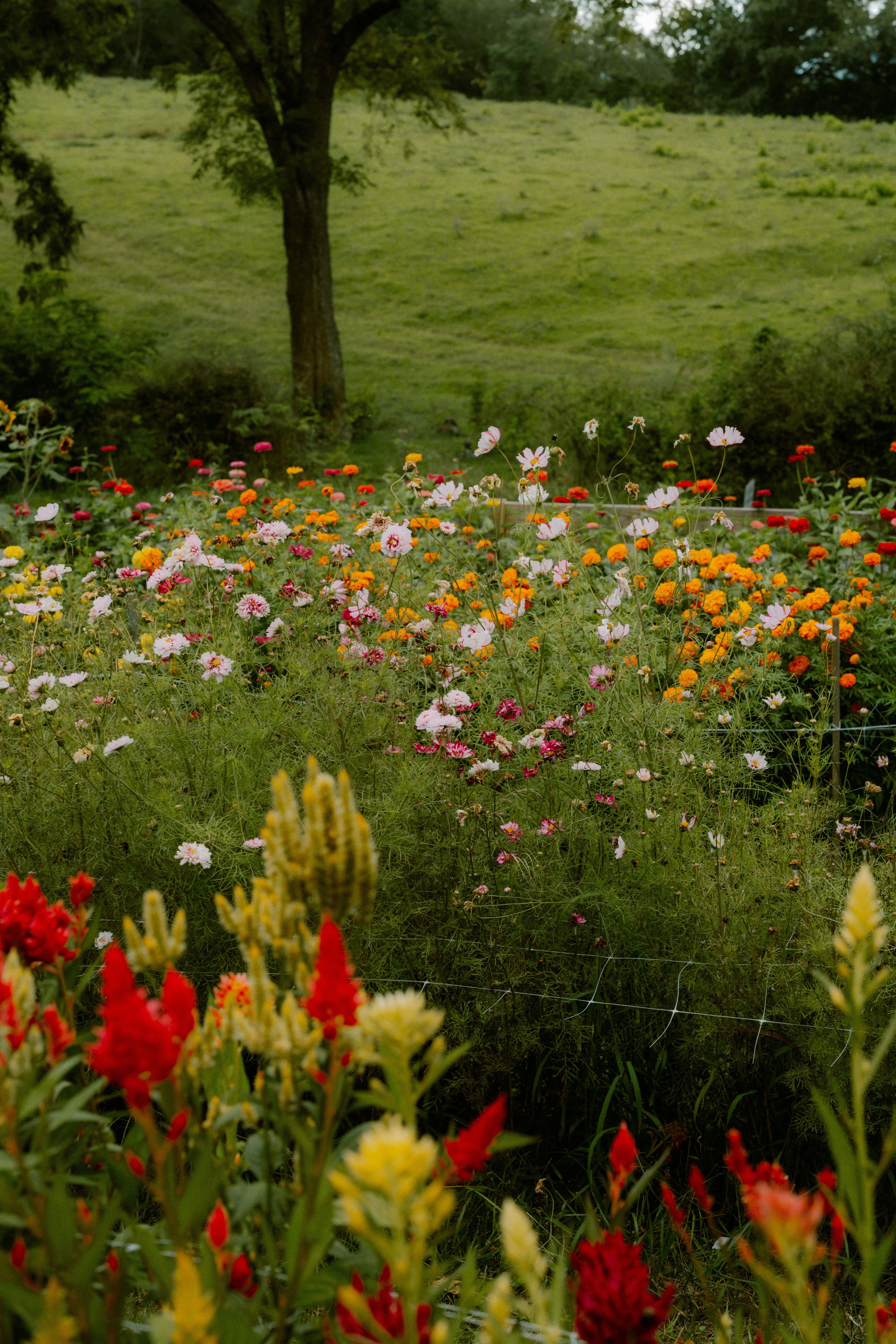 Photo by brookebalentine