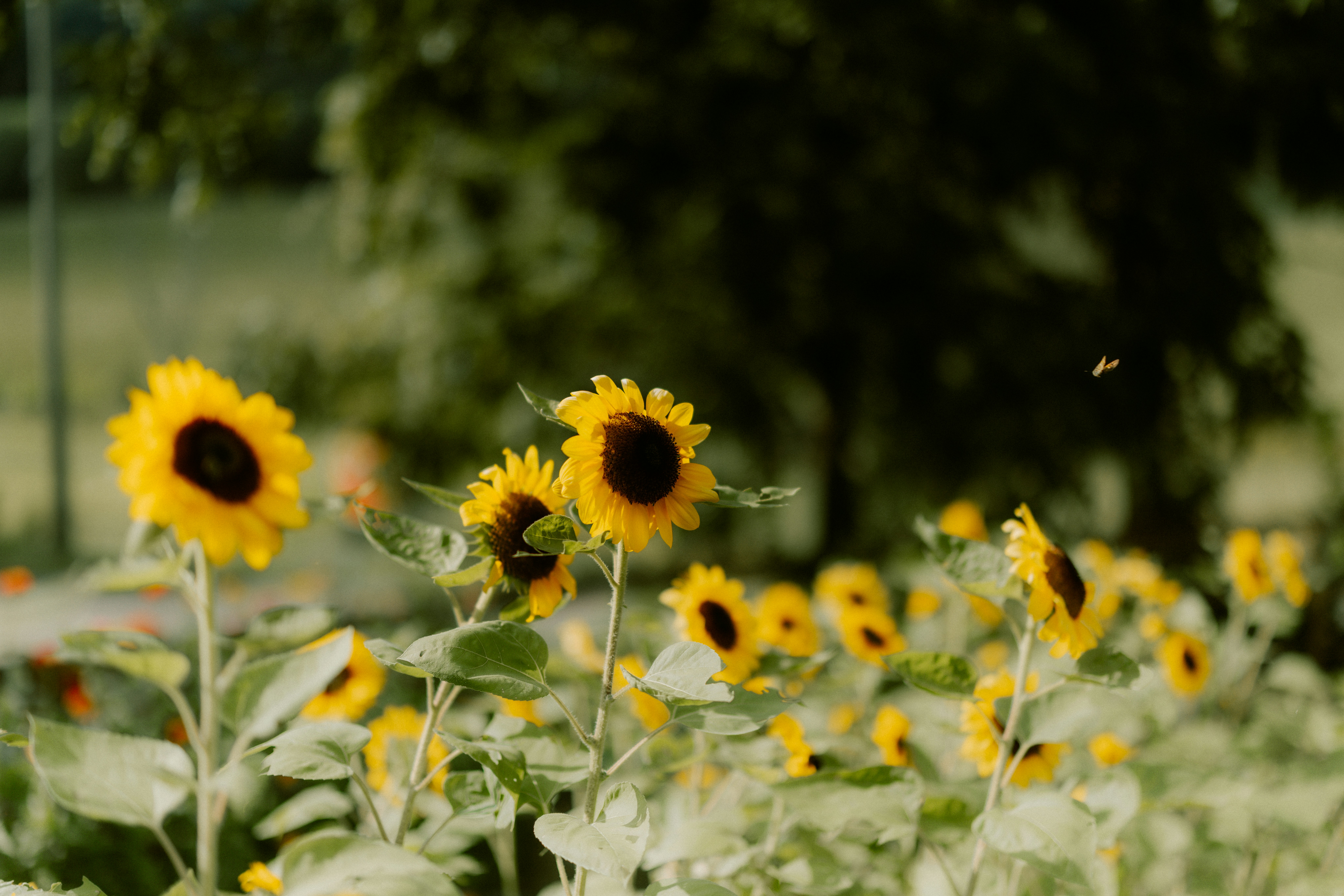 Photo by brookebalentine