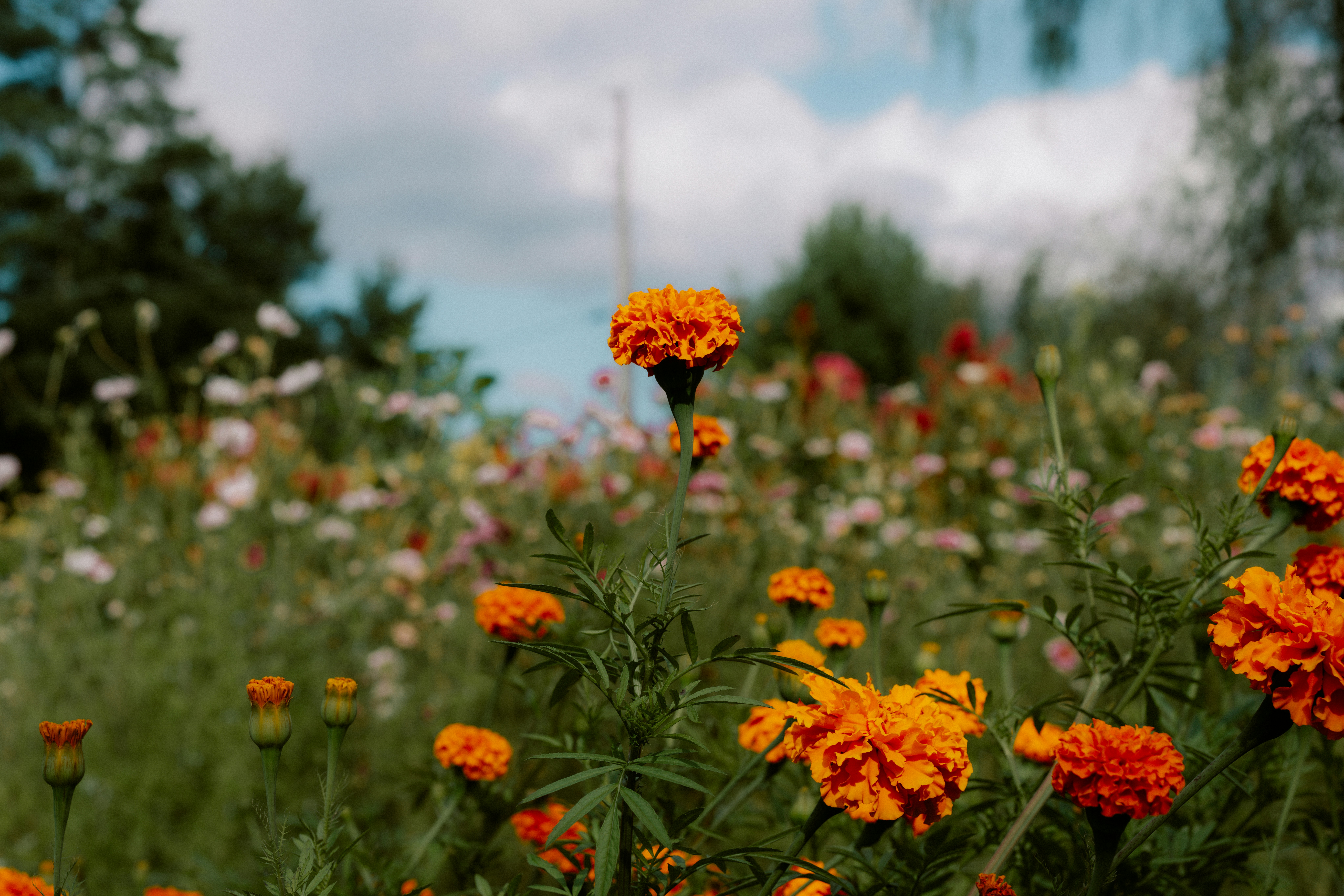 Photo by brookebalentine