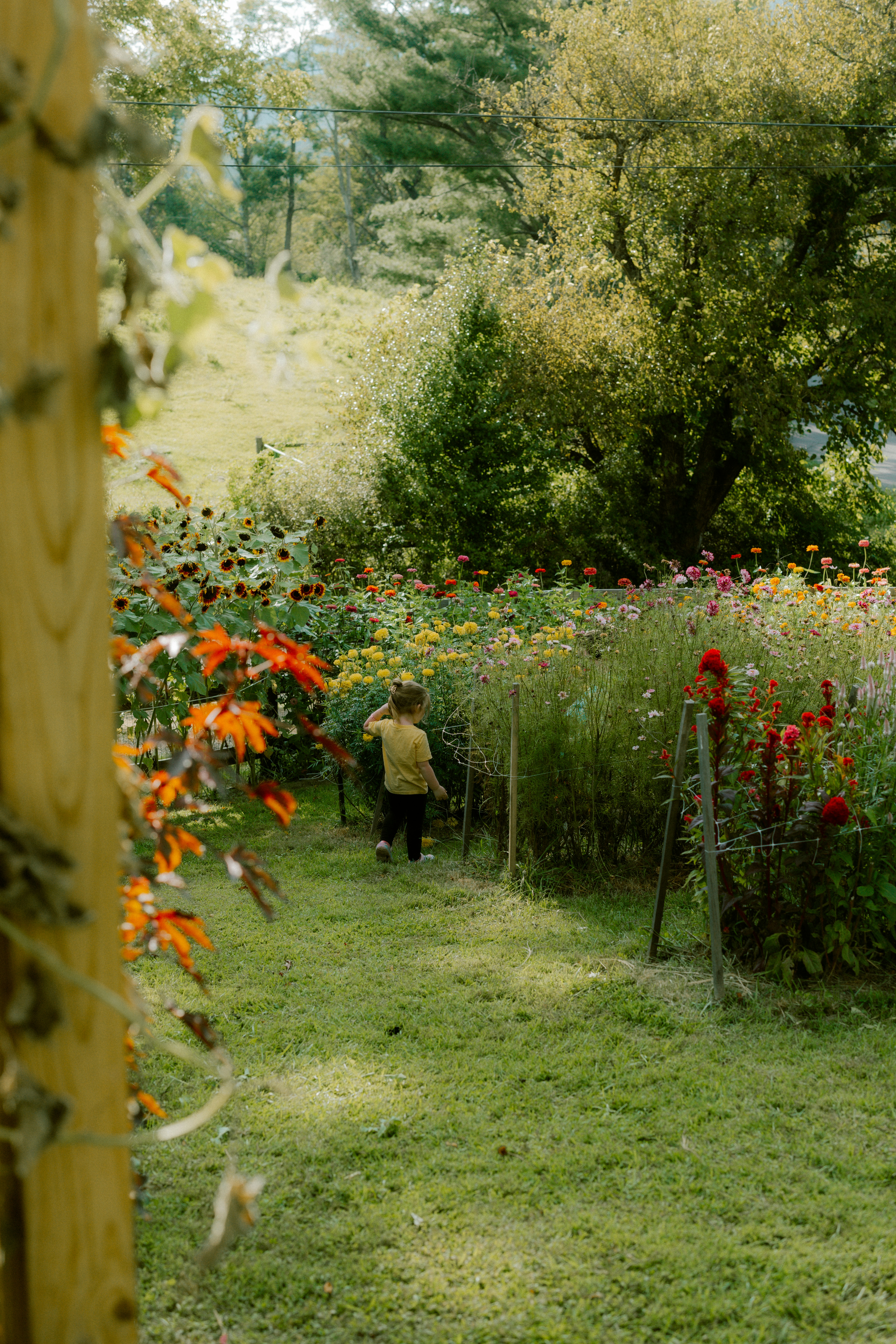 Photo by brookebalentine