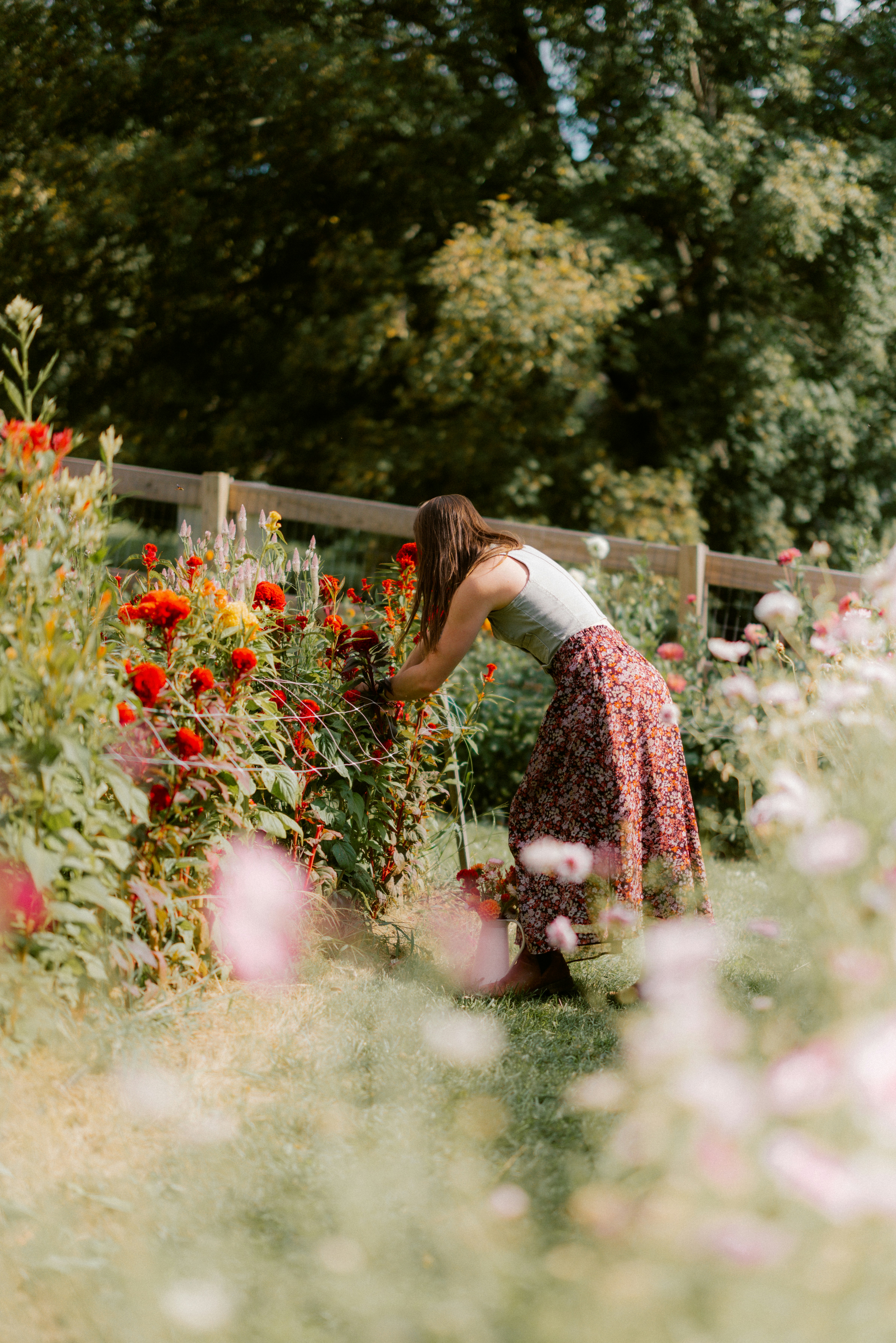 Photo by brookebalentine