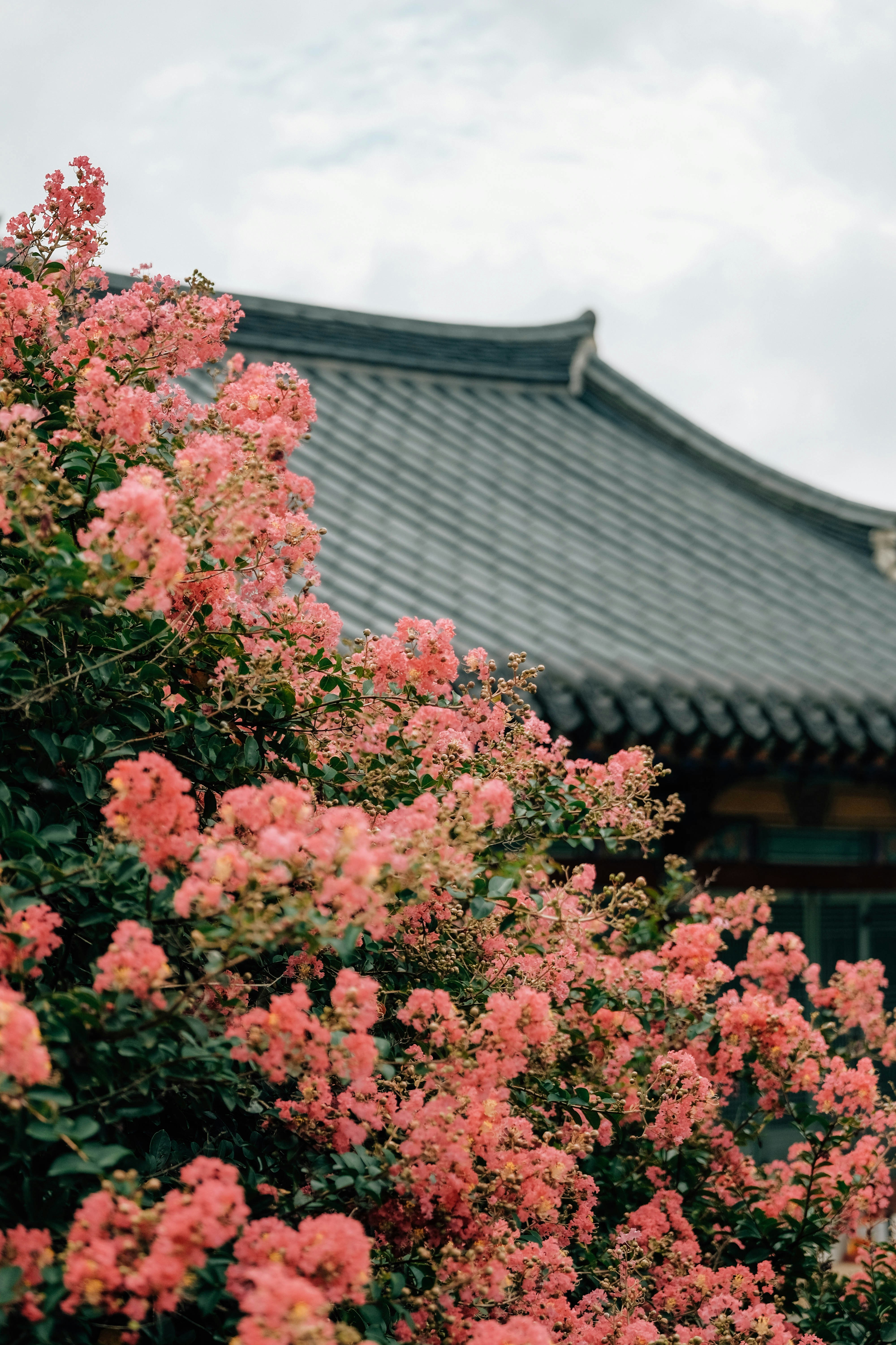 Photo by insungpandora