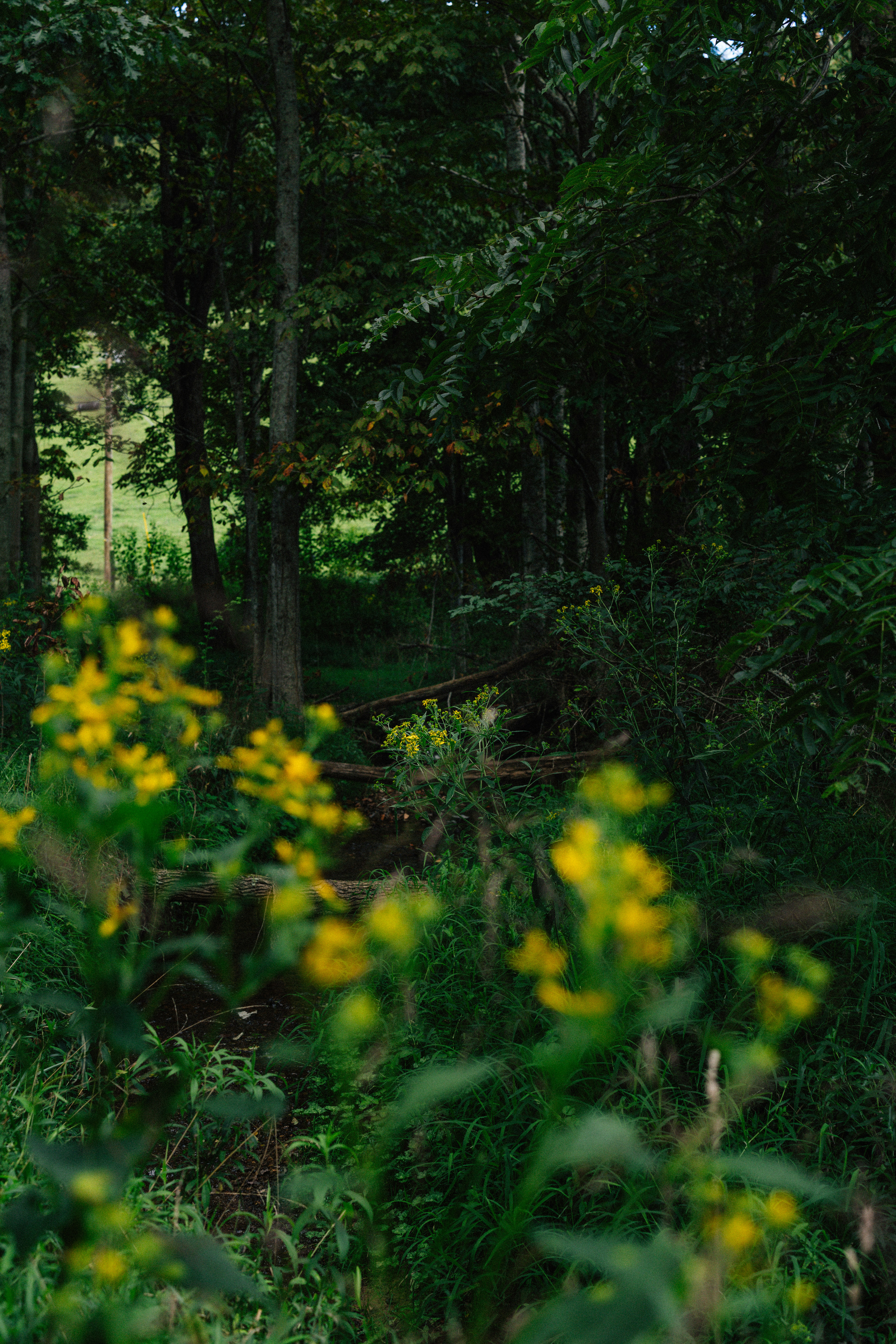 Photo by brookebalentine