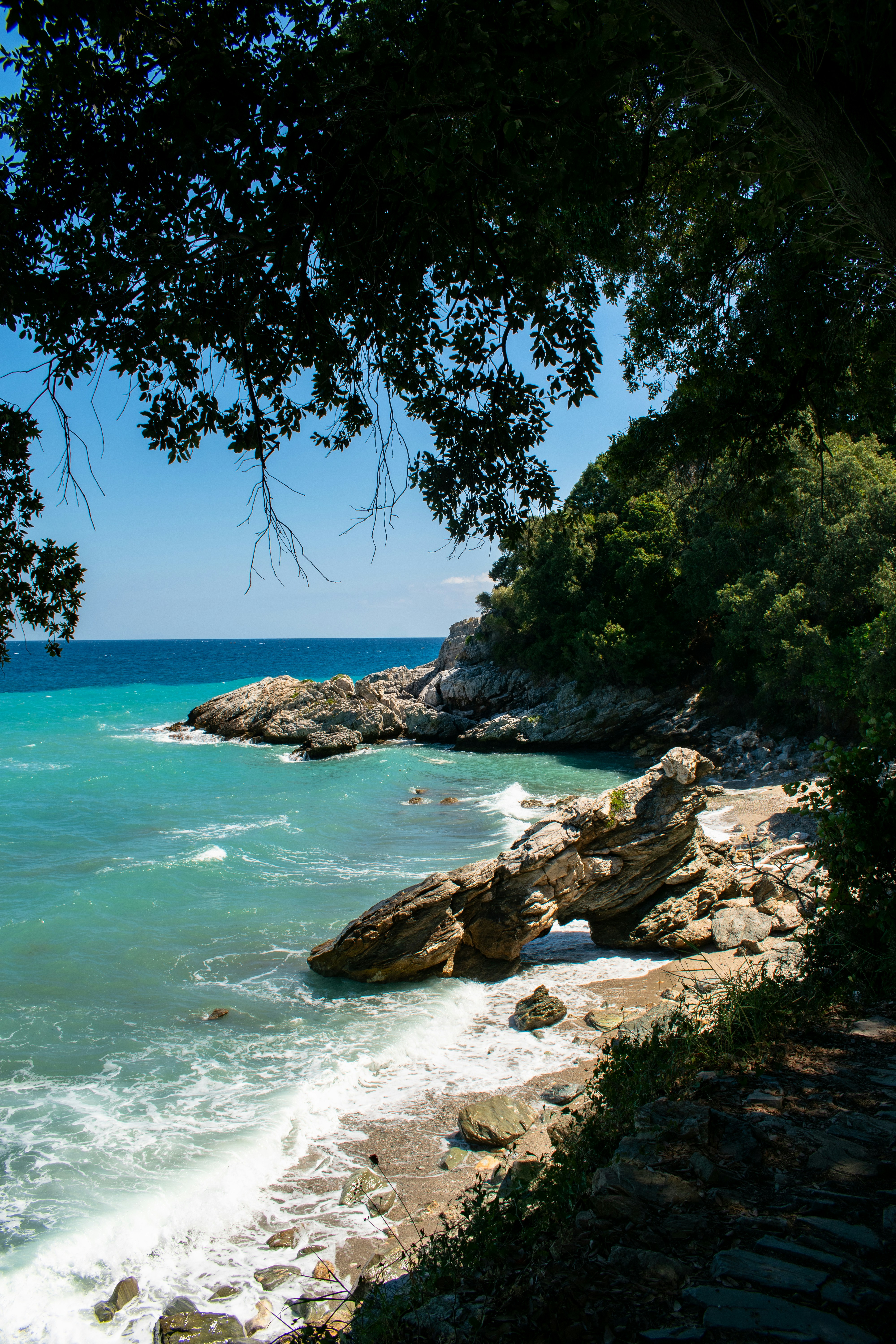 Photo by tudorgabriel7