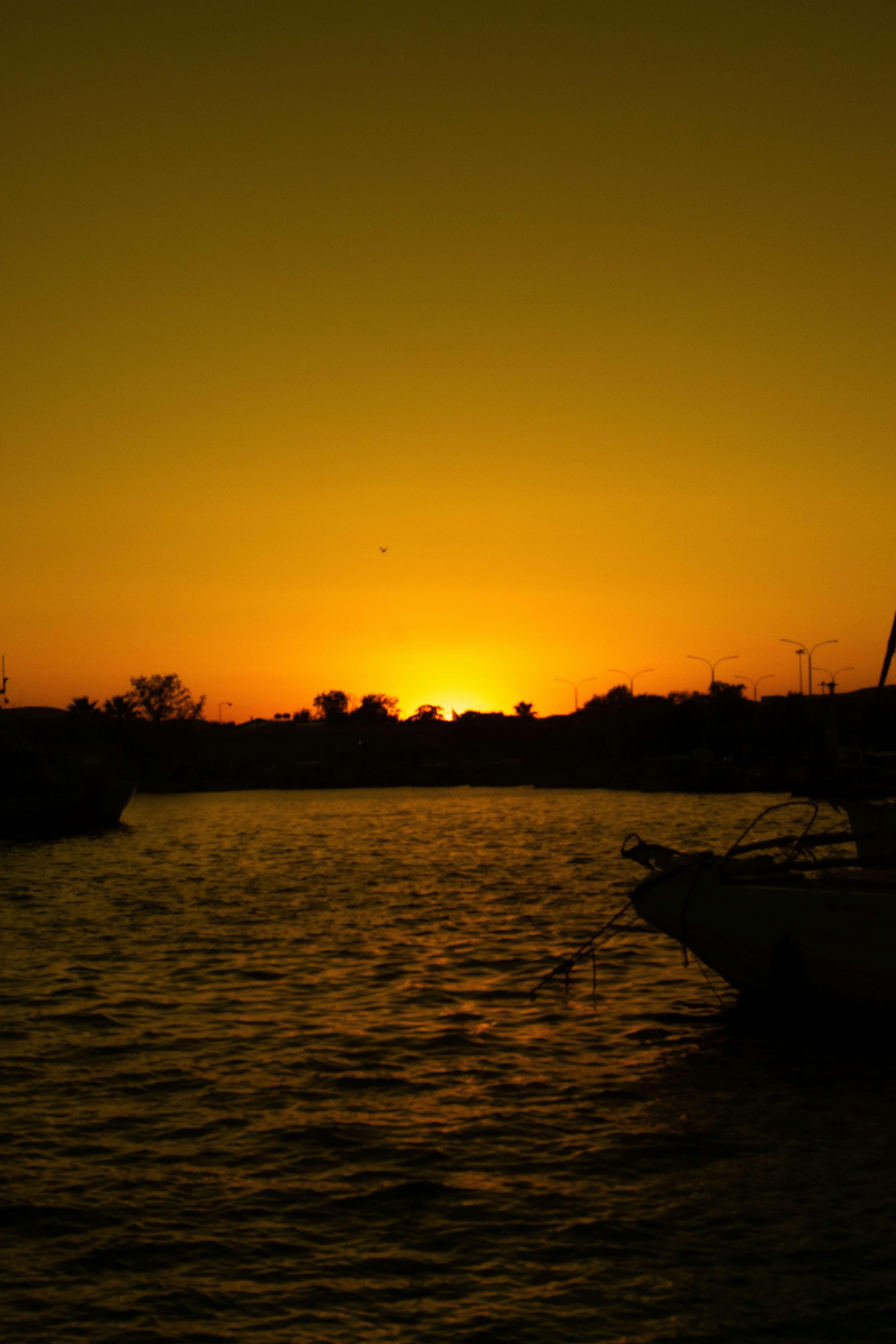 Photo by tudorgabriel7