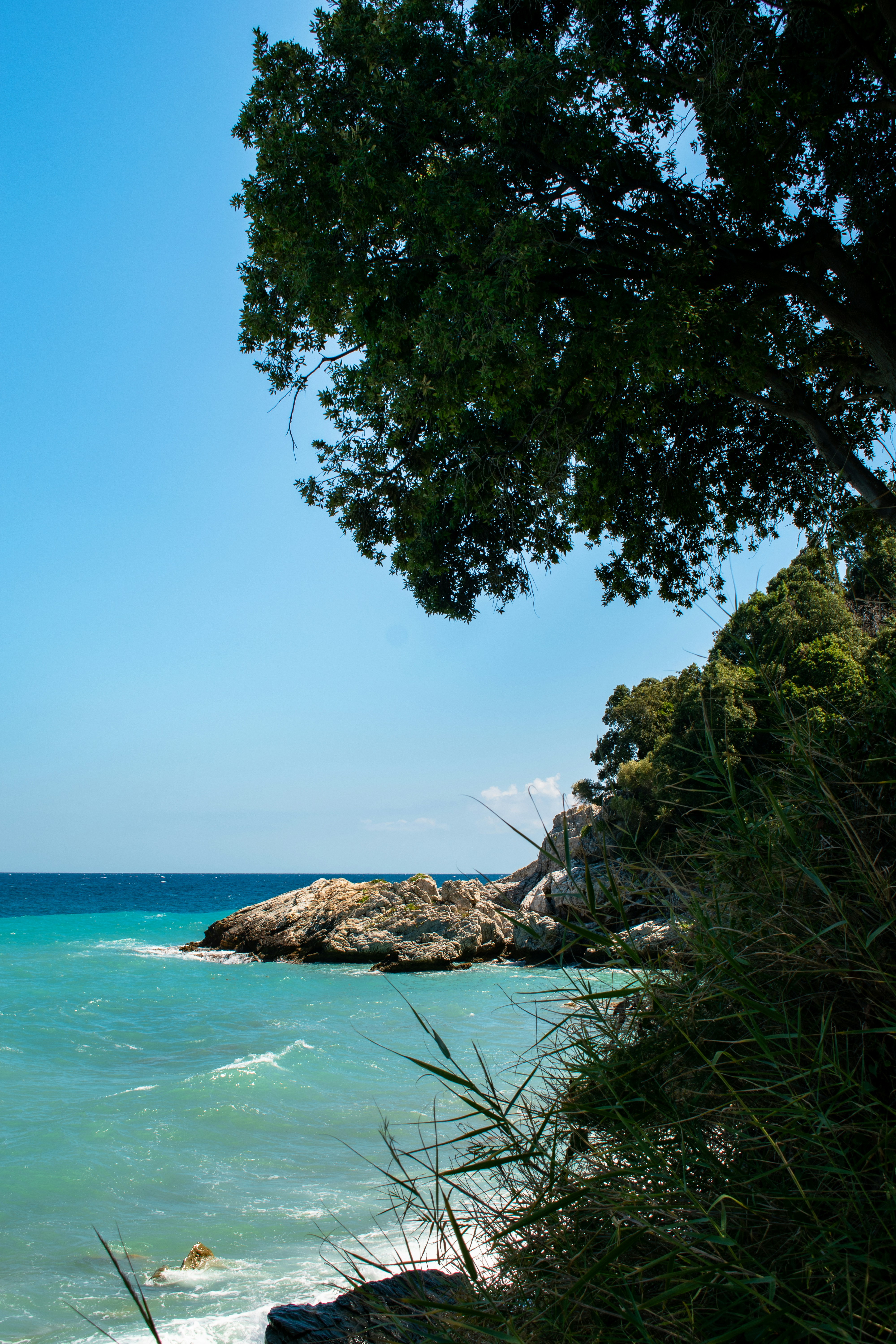 Photo by tudorgabriel7