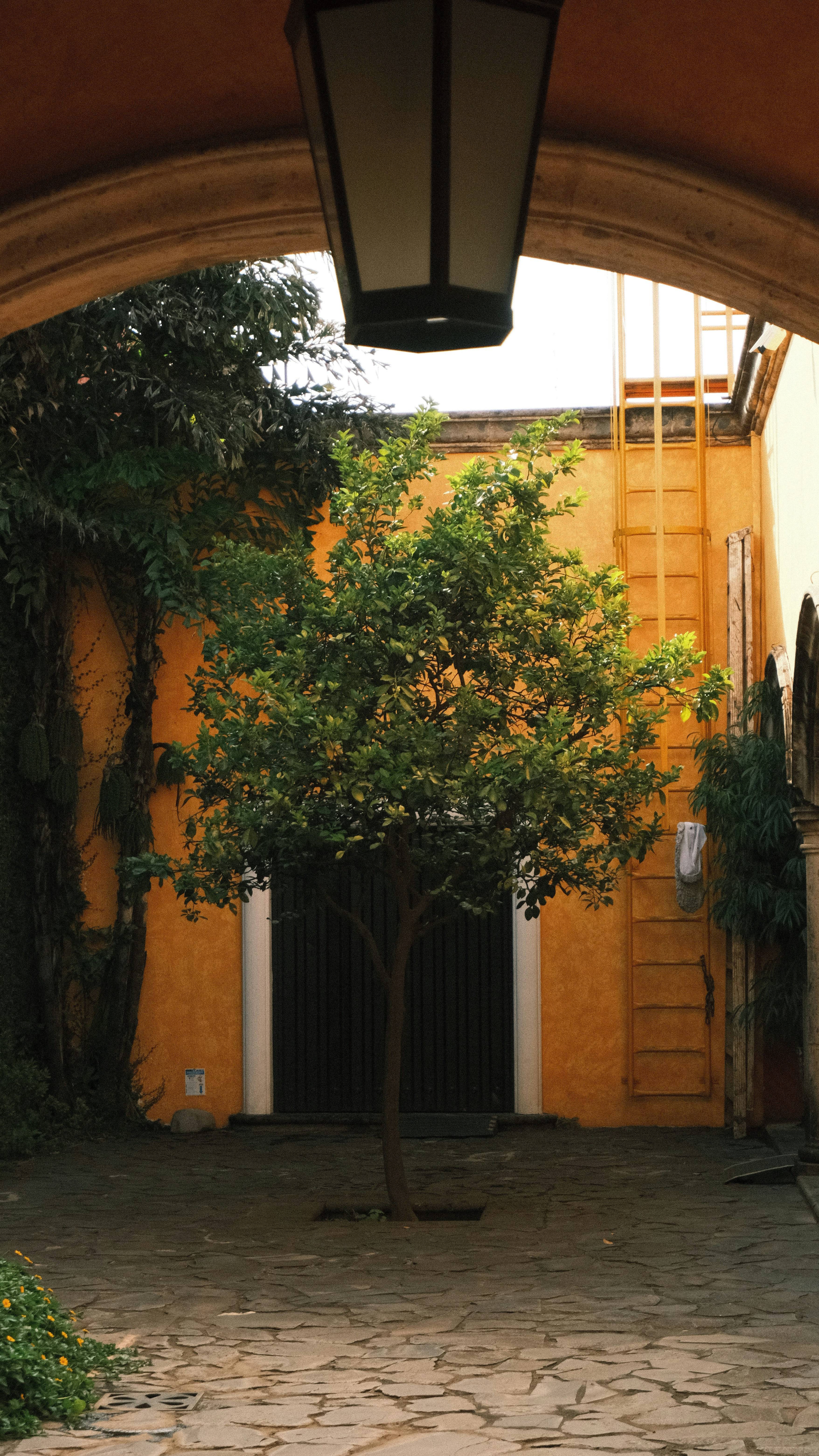 Photo by juniorphoto