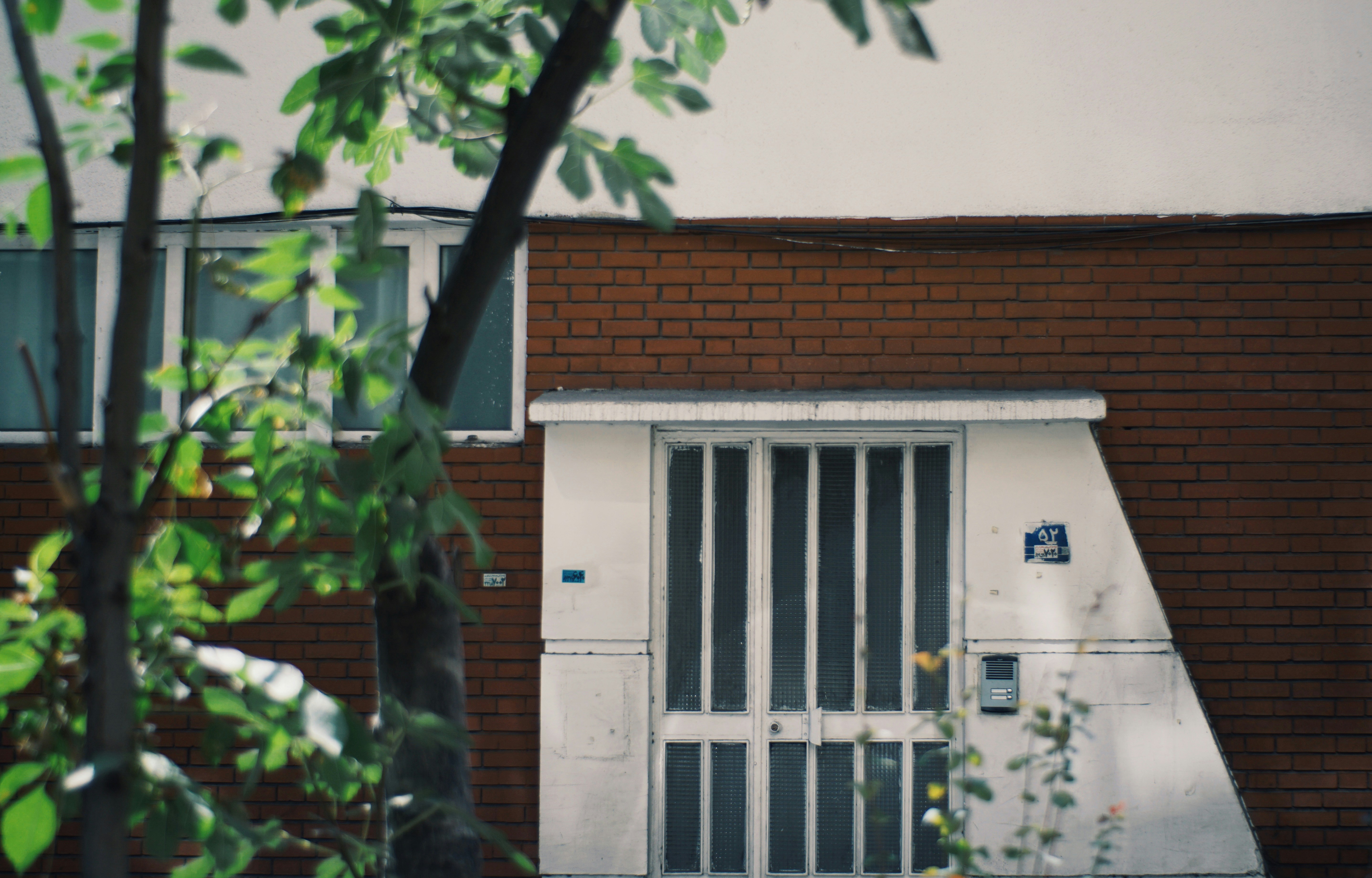 Photo by mdrezajalali