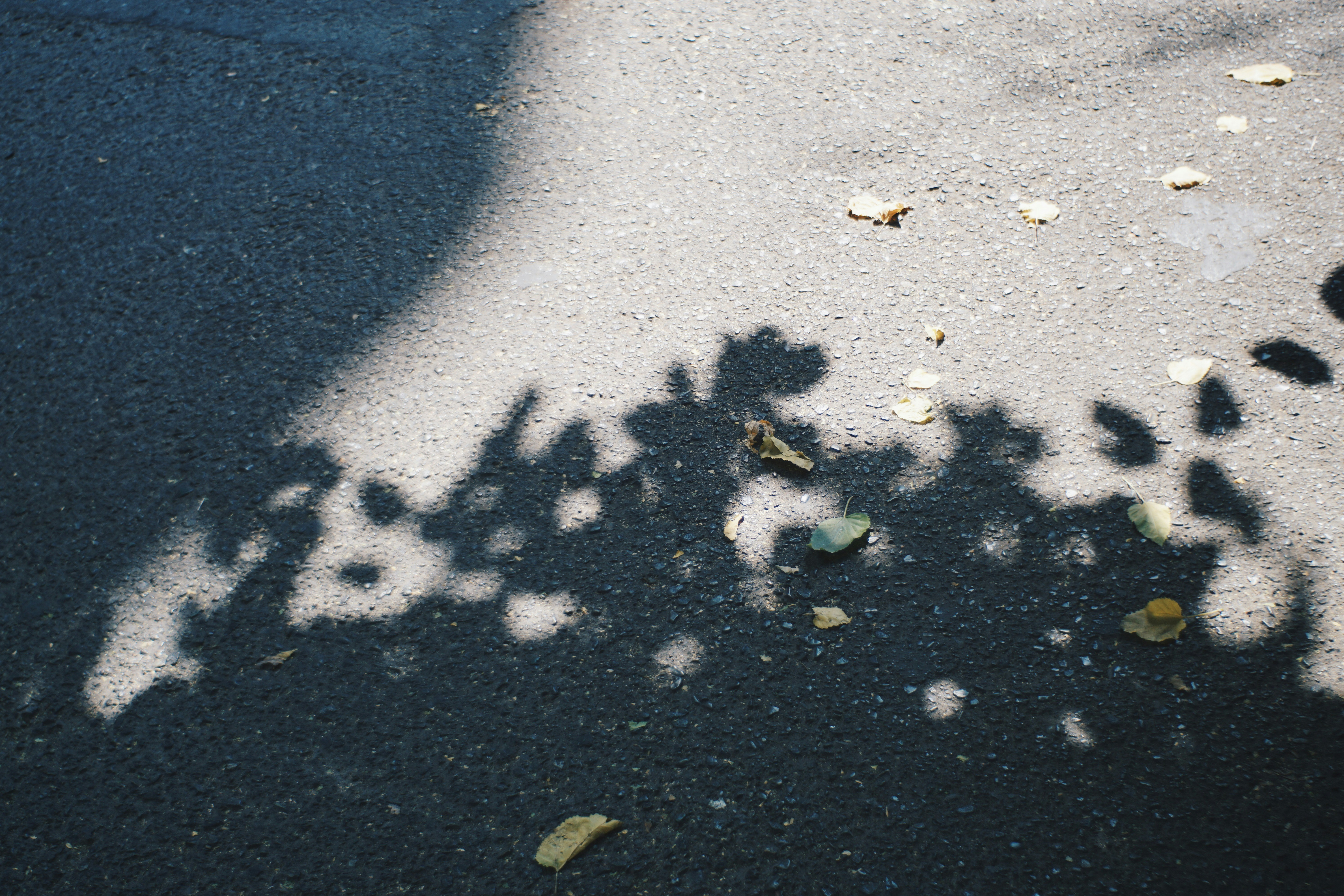 Photo by mdrezajalali