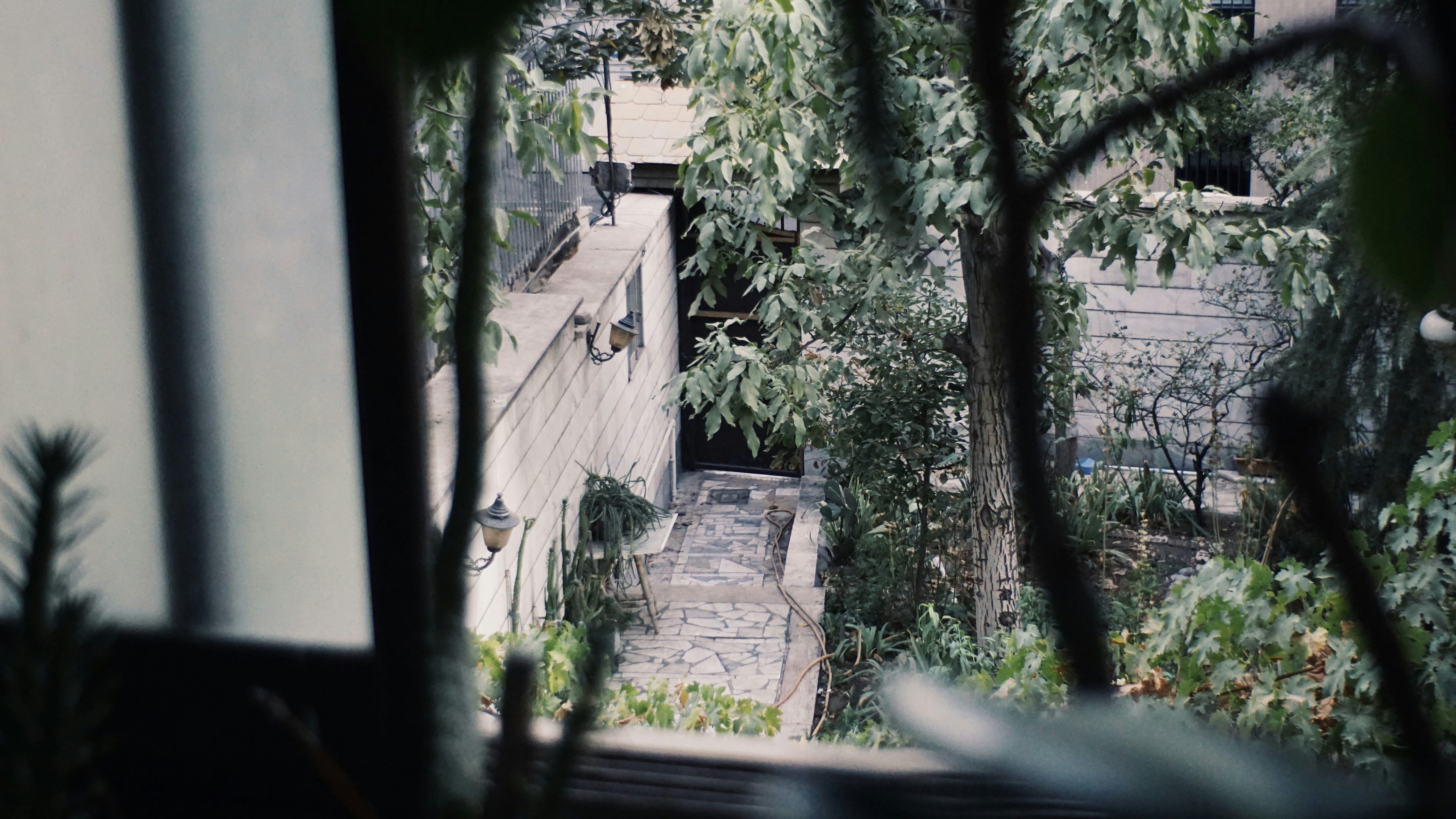 Photo by mdrezajalali