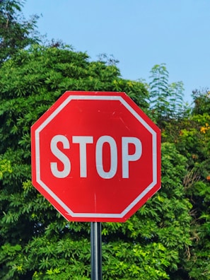 Red stop sign with white lettering against green foliage.