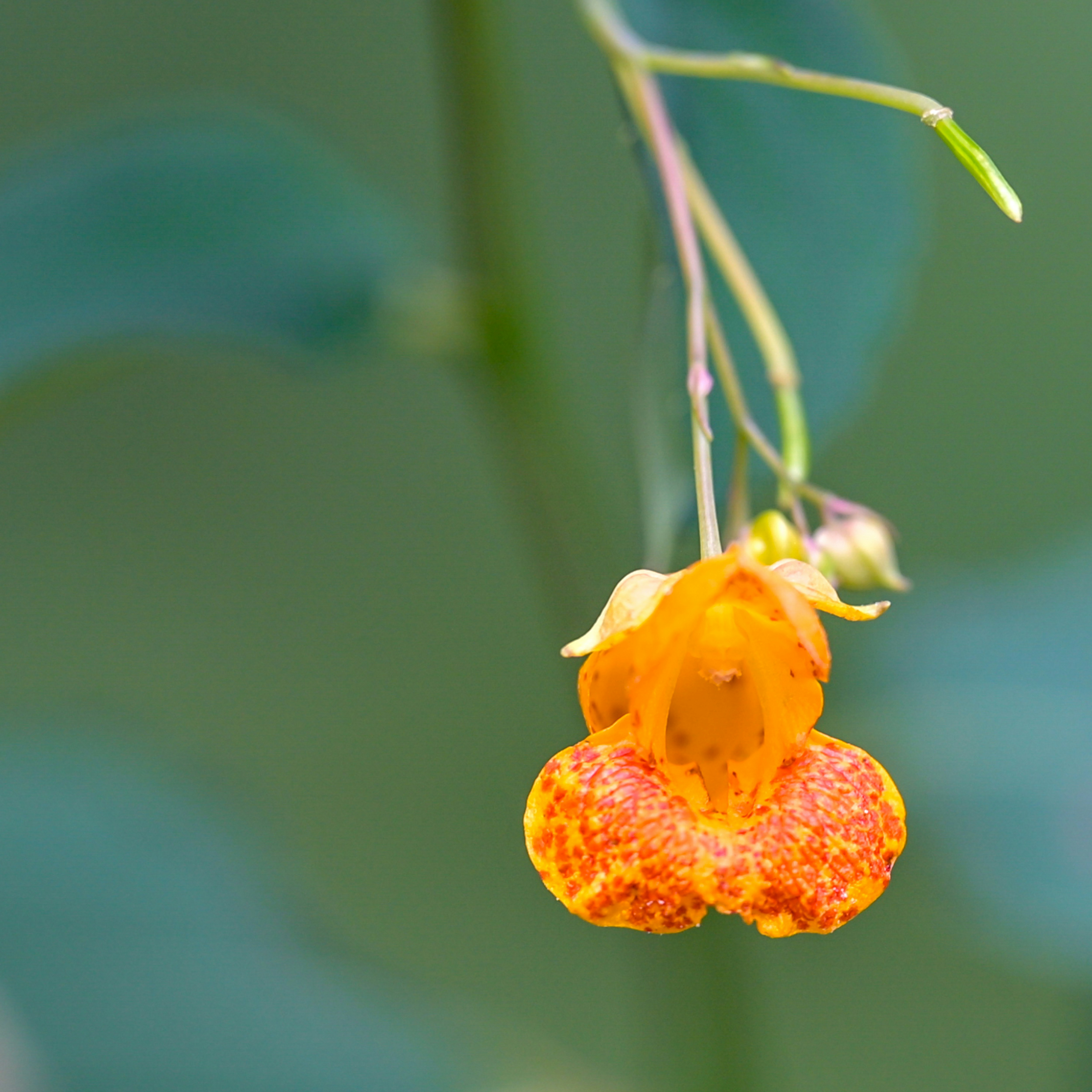 Photo by jonathankslim