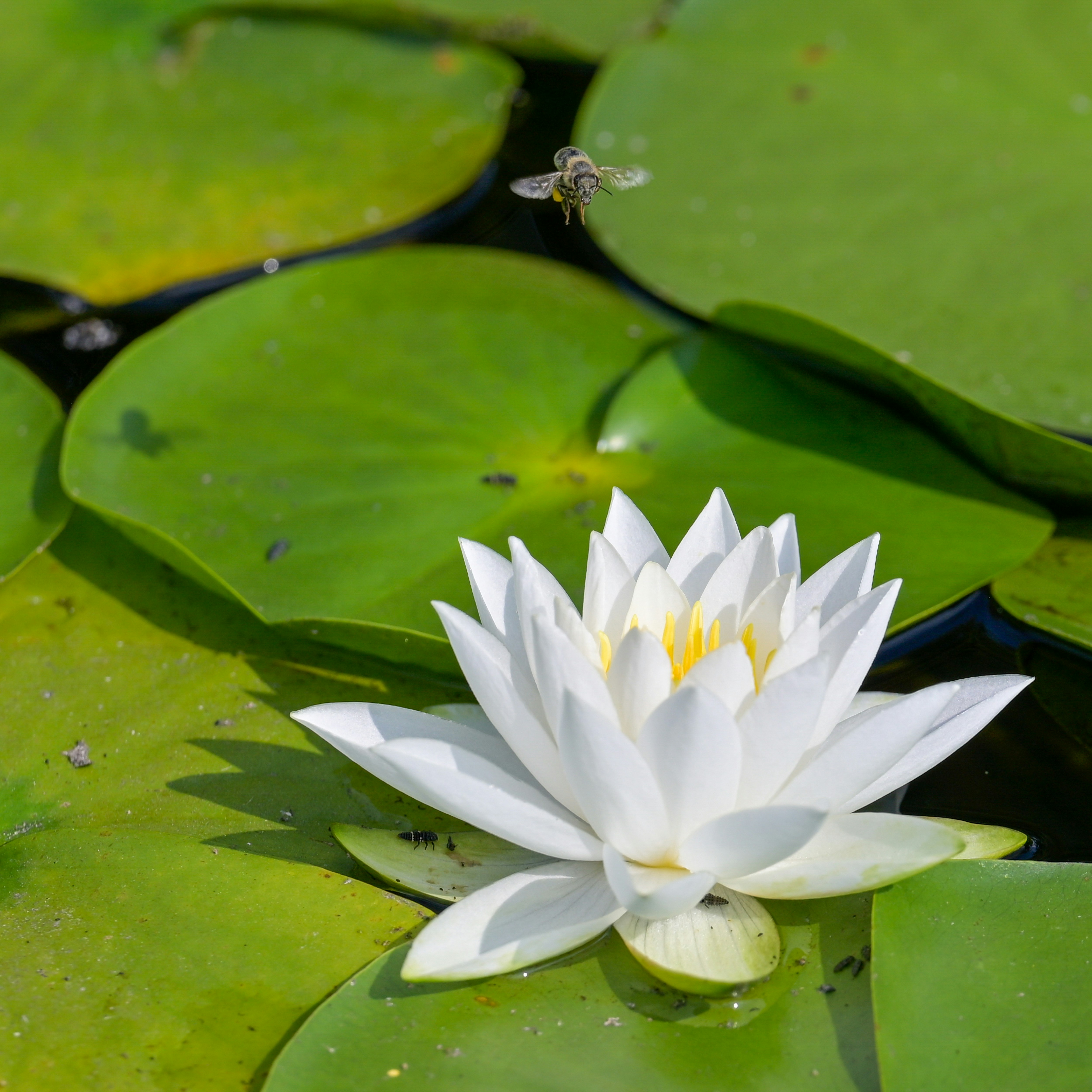 Photo by jonathankslim