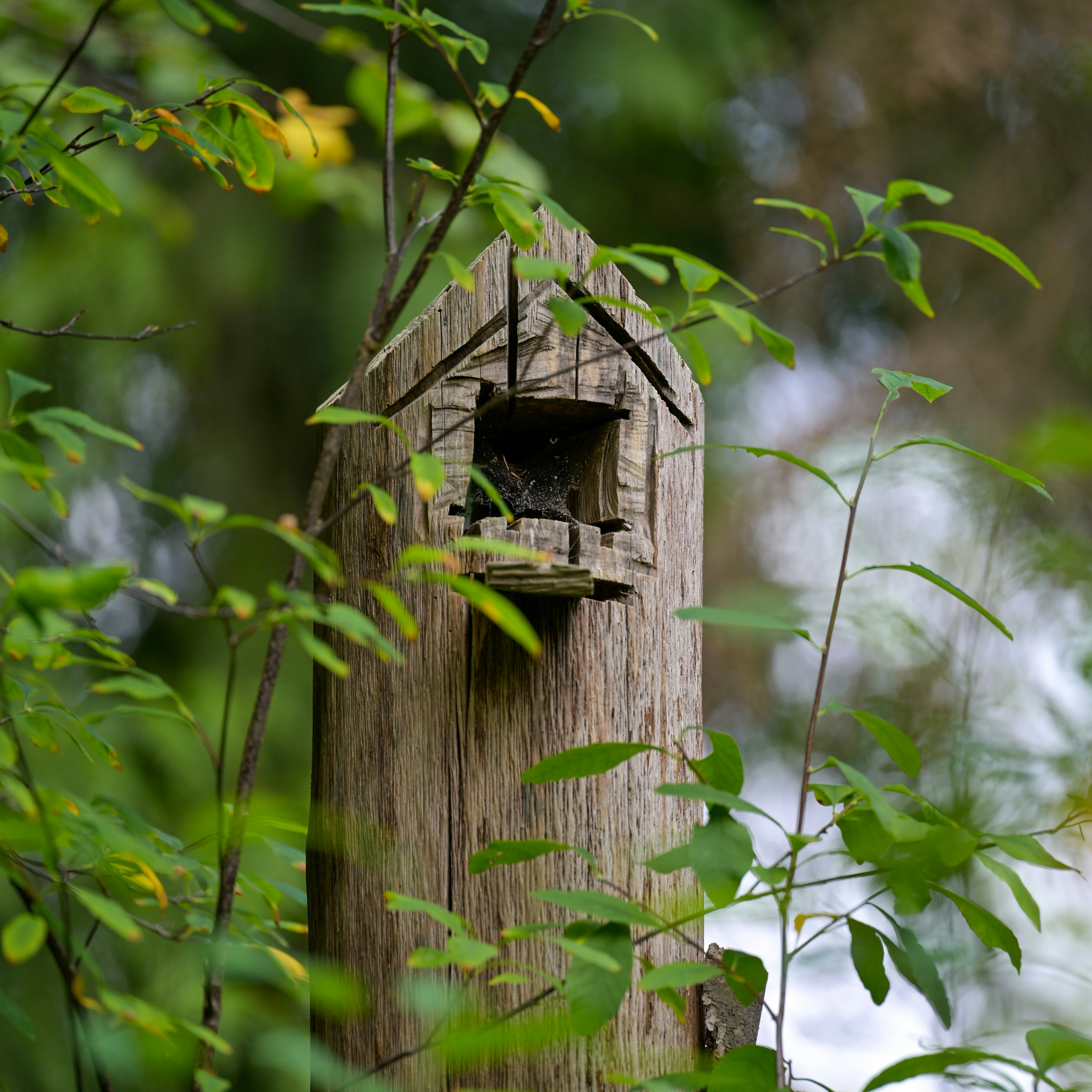 Photo by jonathankslim