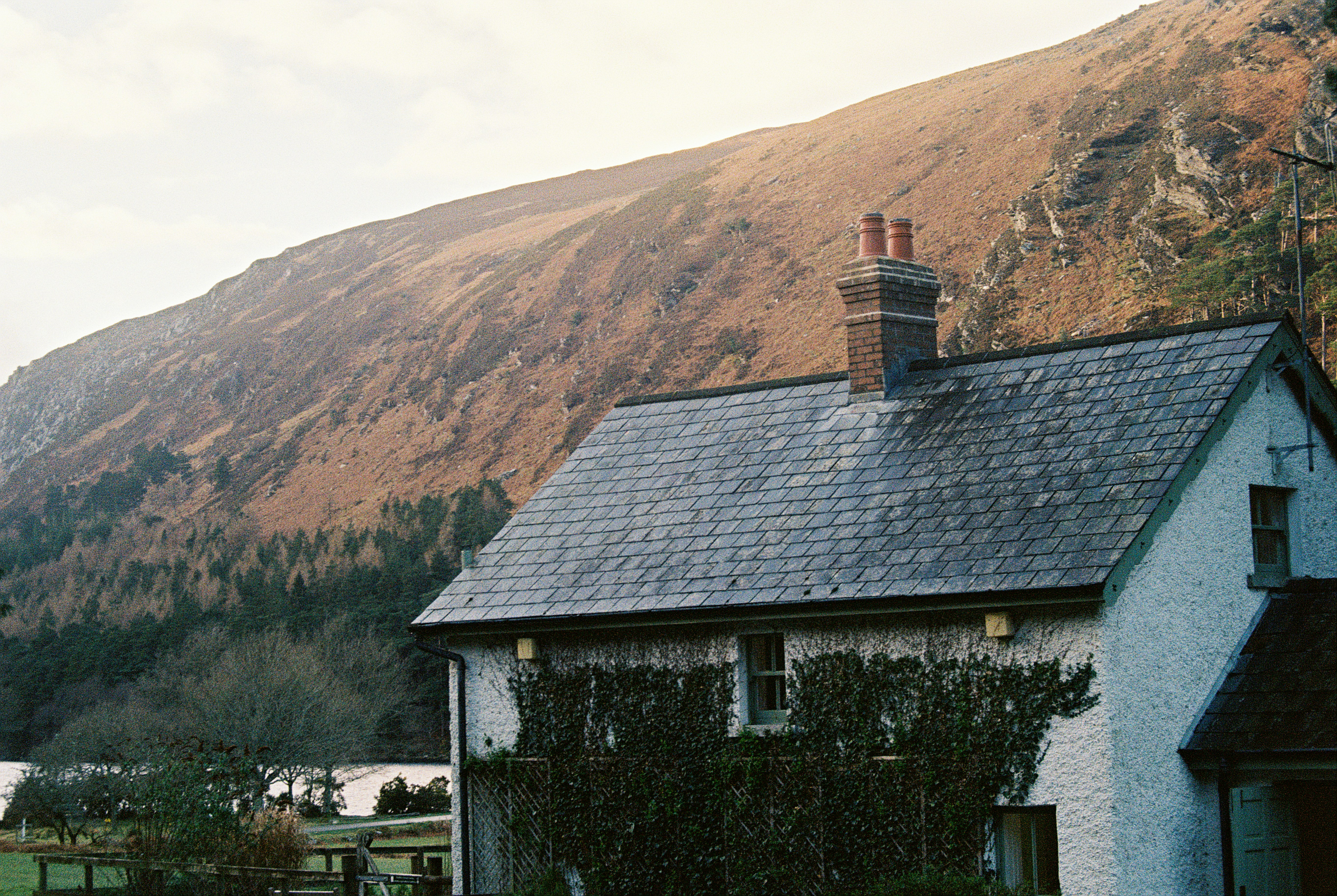 Photo by juliankraus