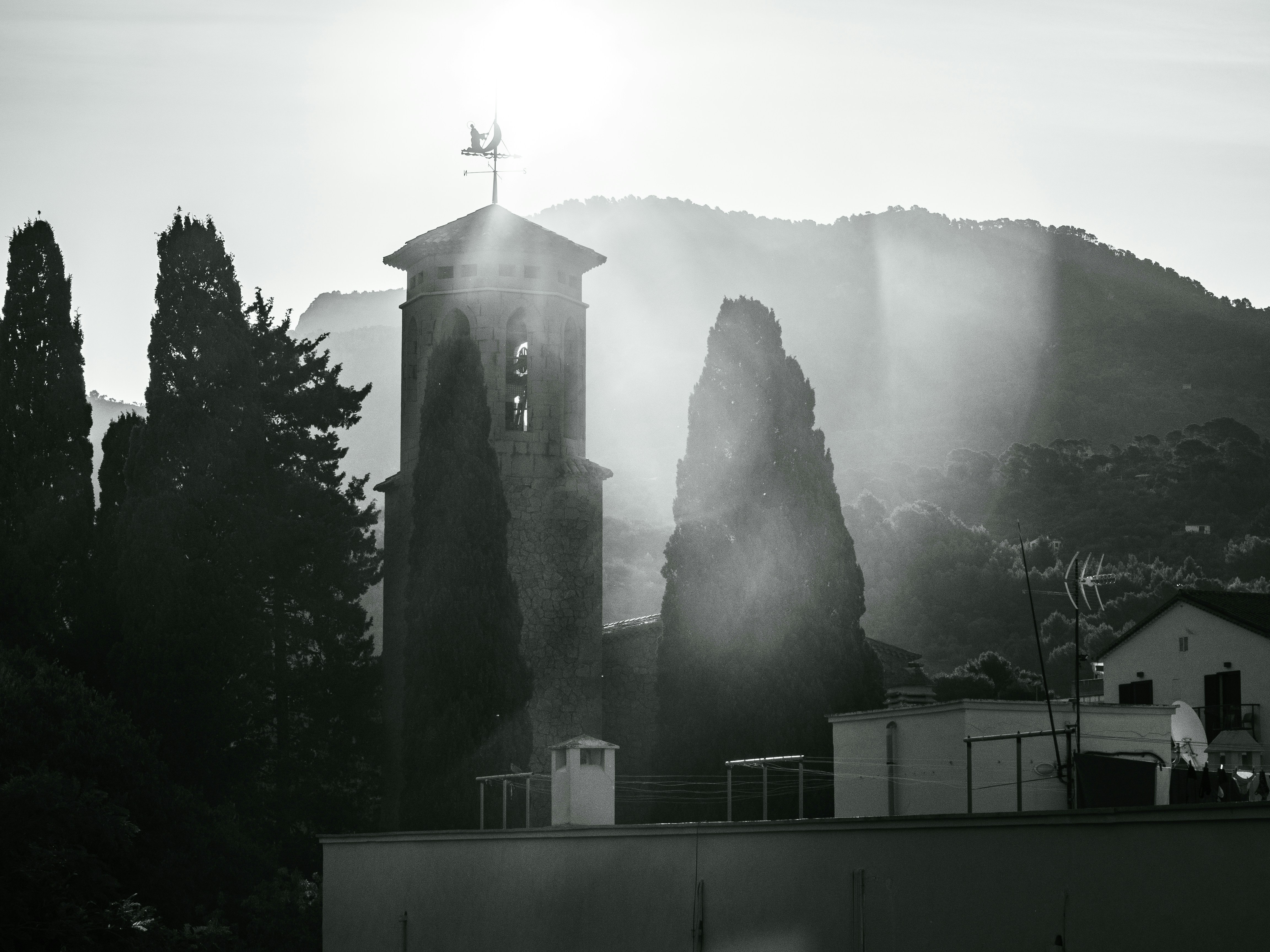 Sunlight streams through trees and illuminates a bell tower.